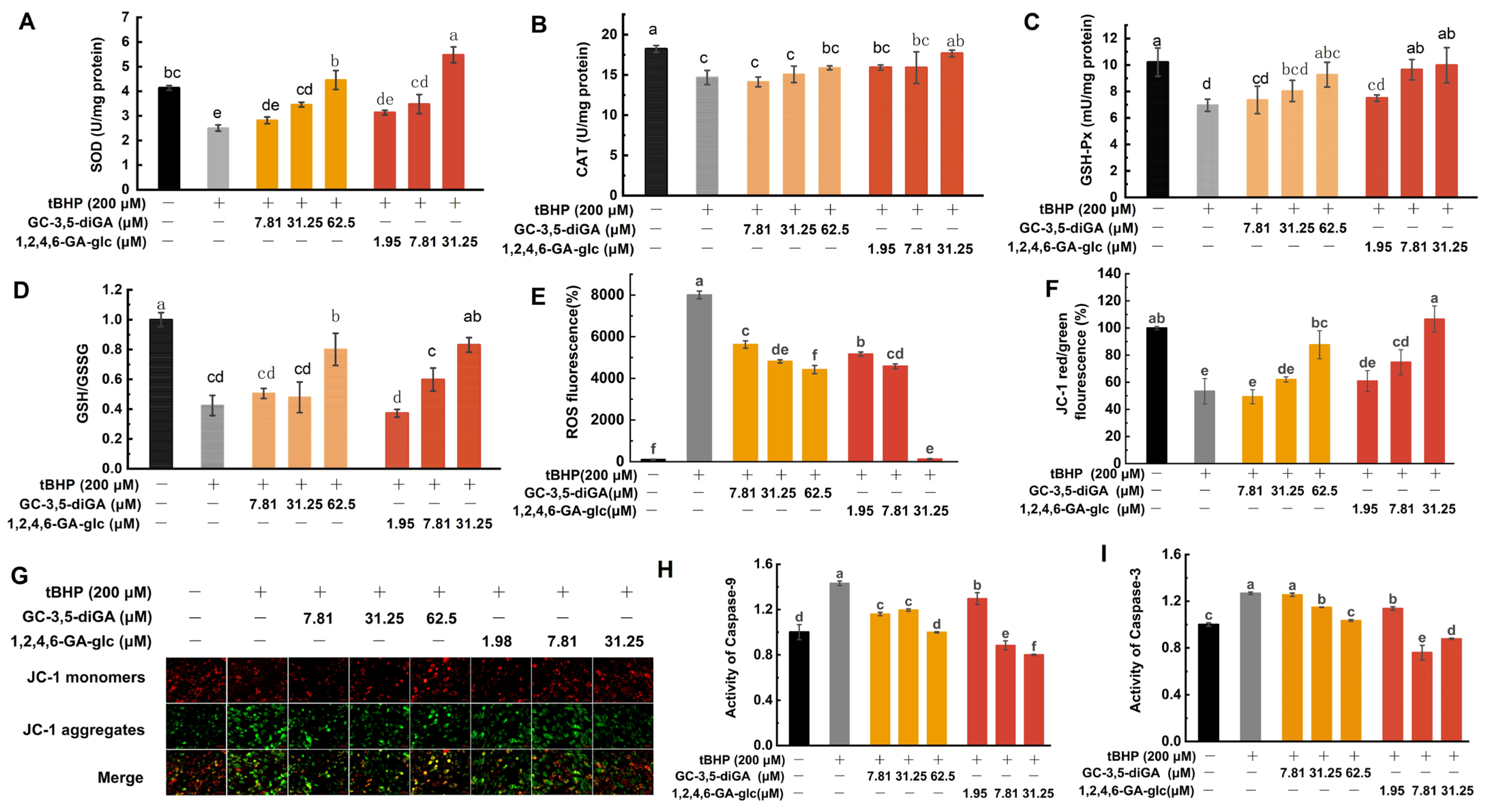 Molecules 30 01919 g006