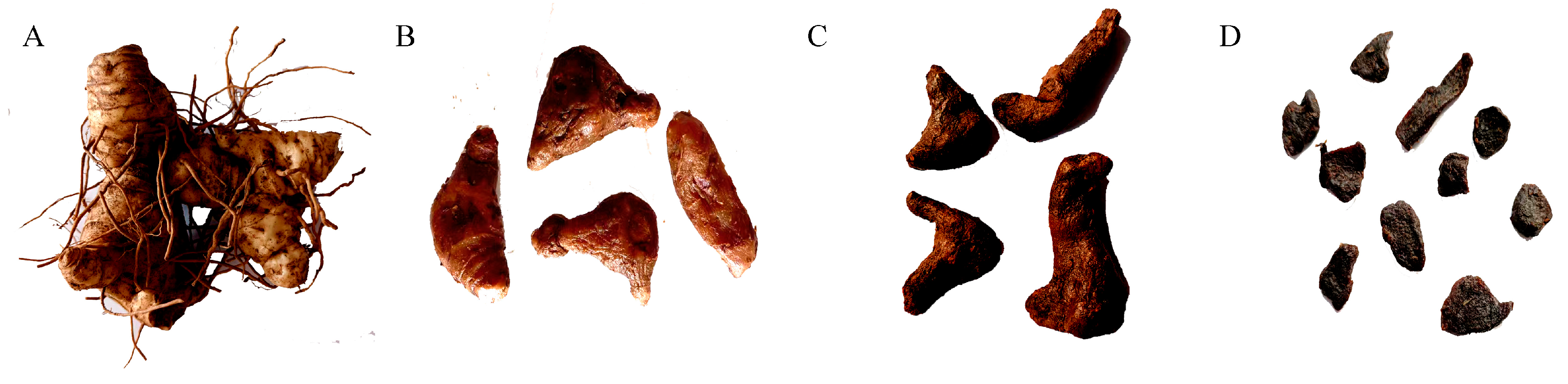 Molecules 30 01923 g001