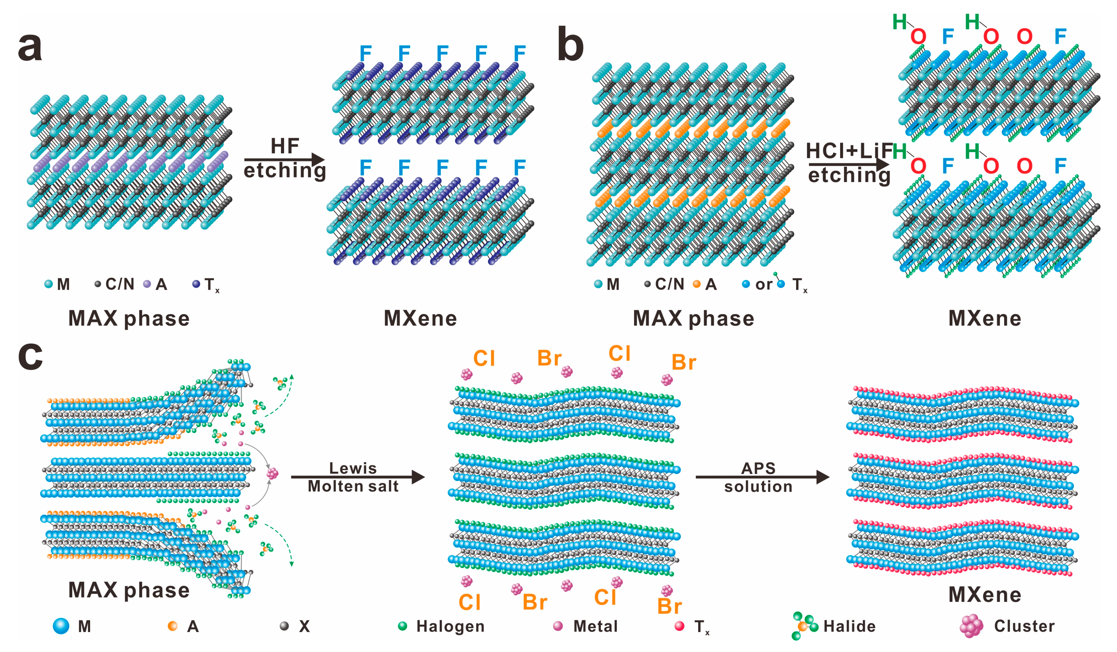 Molecules 30 01929 g002