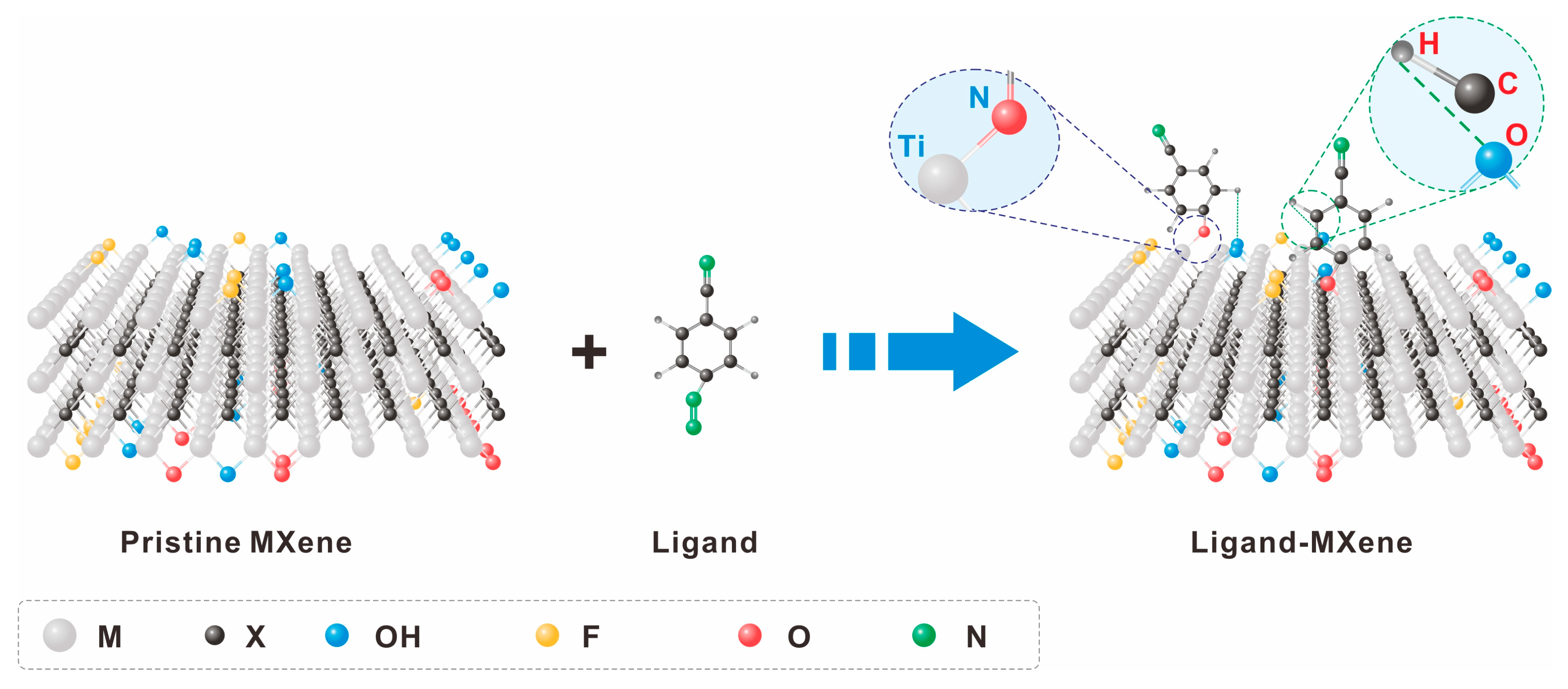 Molecules 30 01929 g004