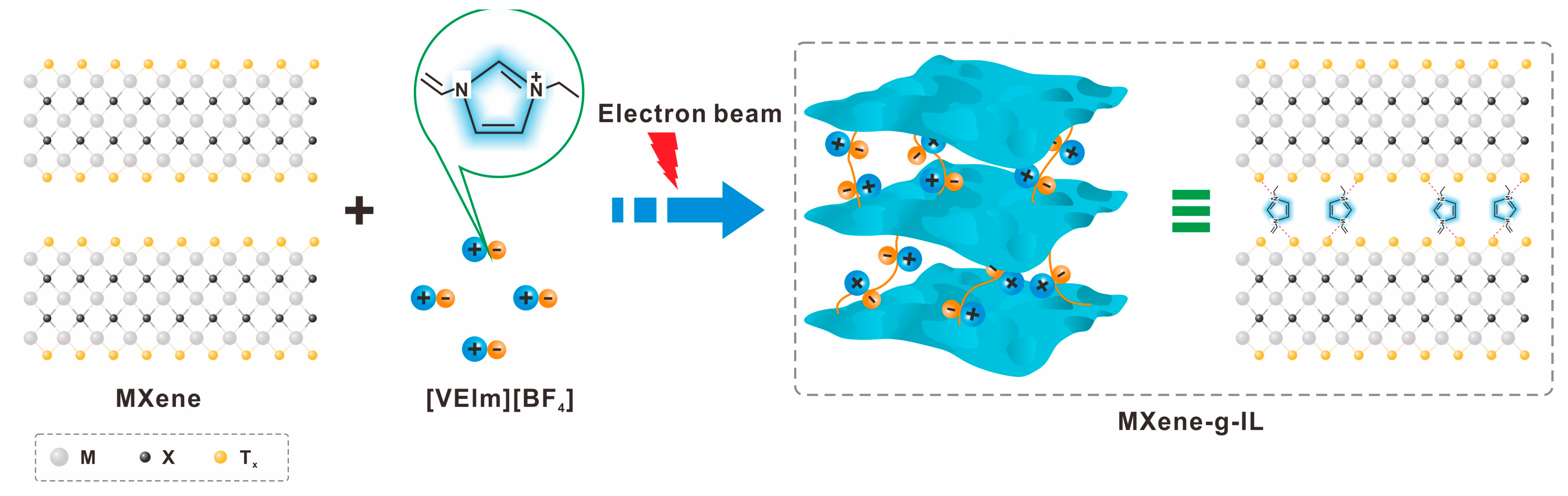 Molecules 30 01929 g005