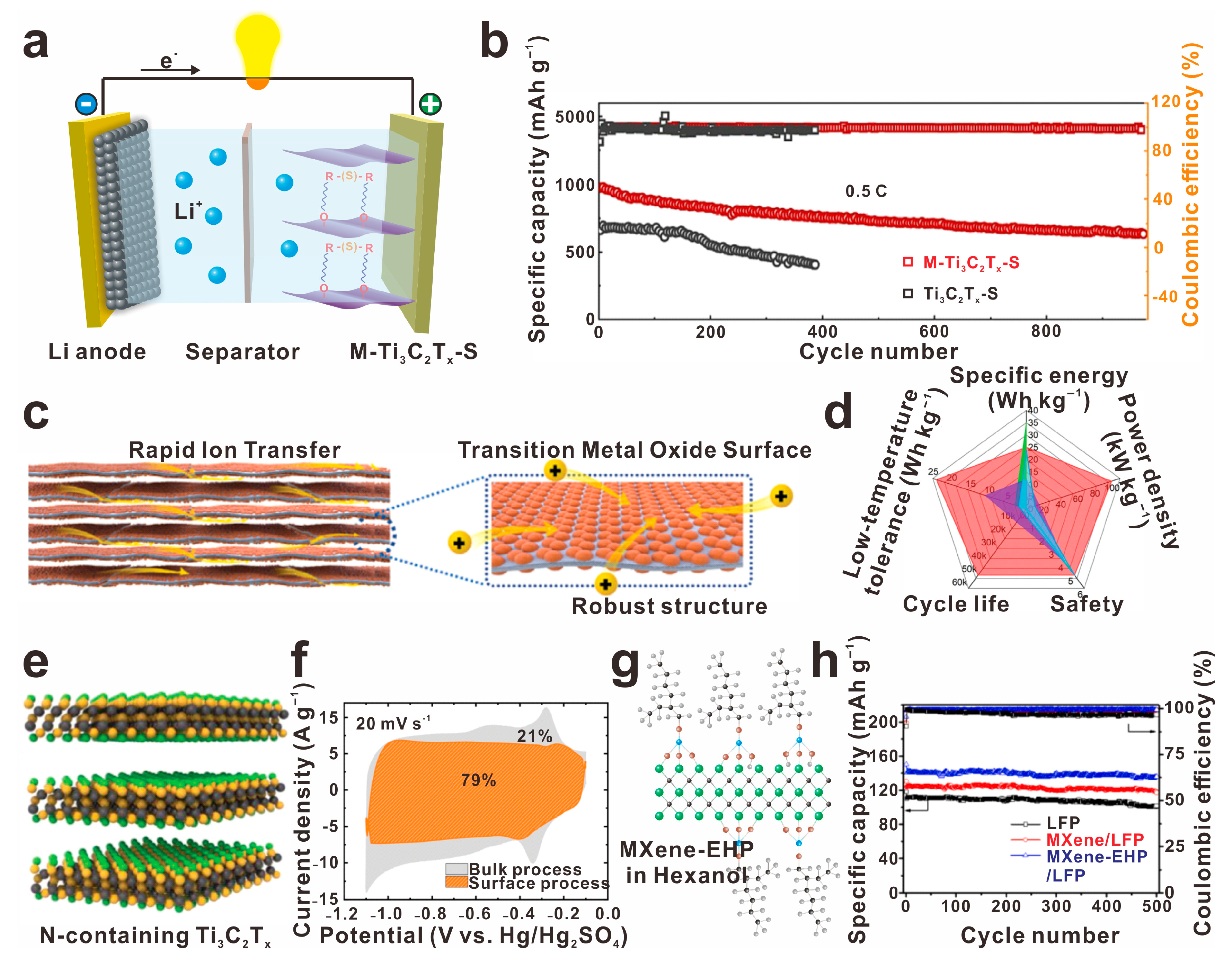 Molecules 30 01929 g006