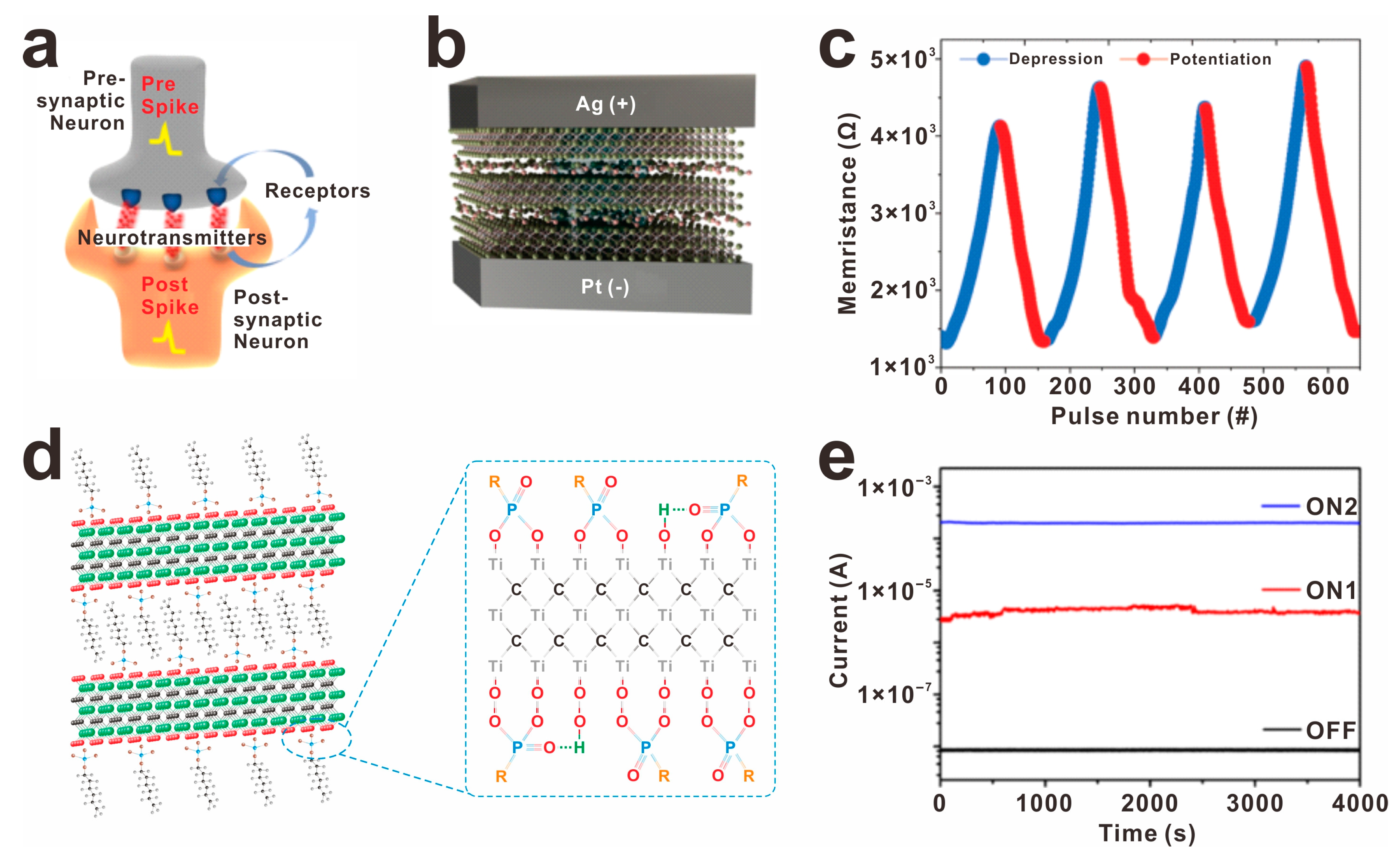 Molecules 30 01929 g008