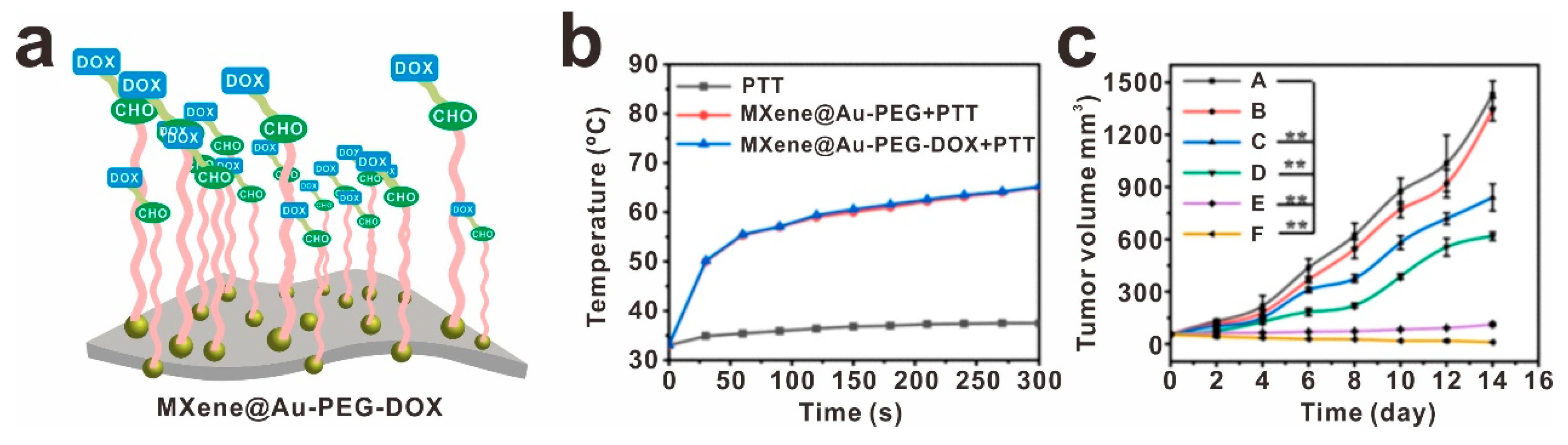 Molecules 30 01929 g009