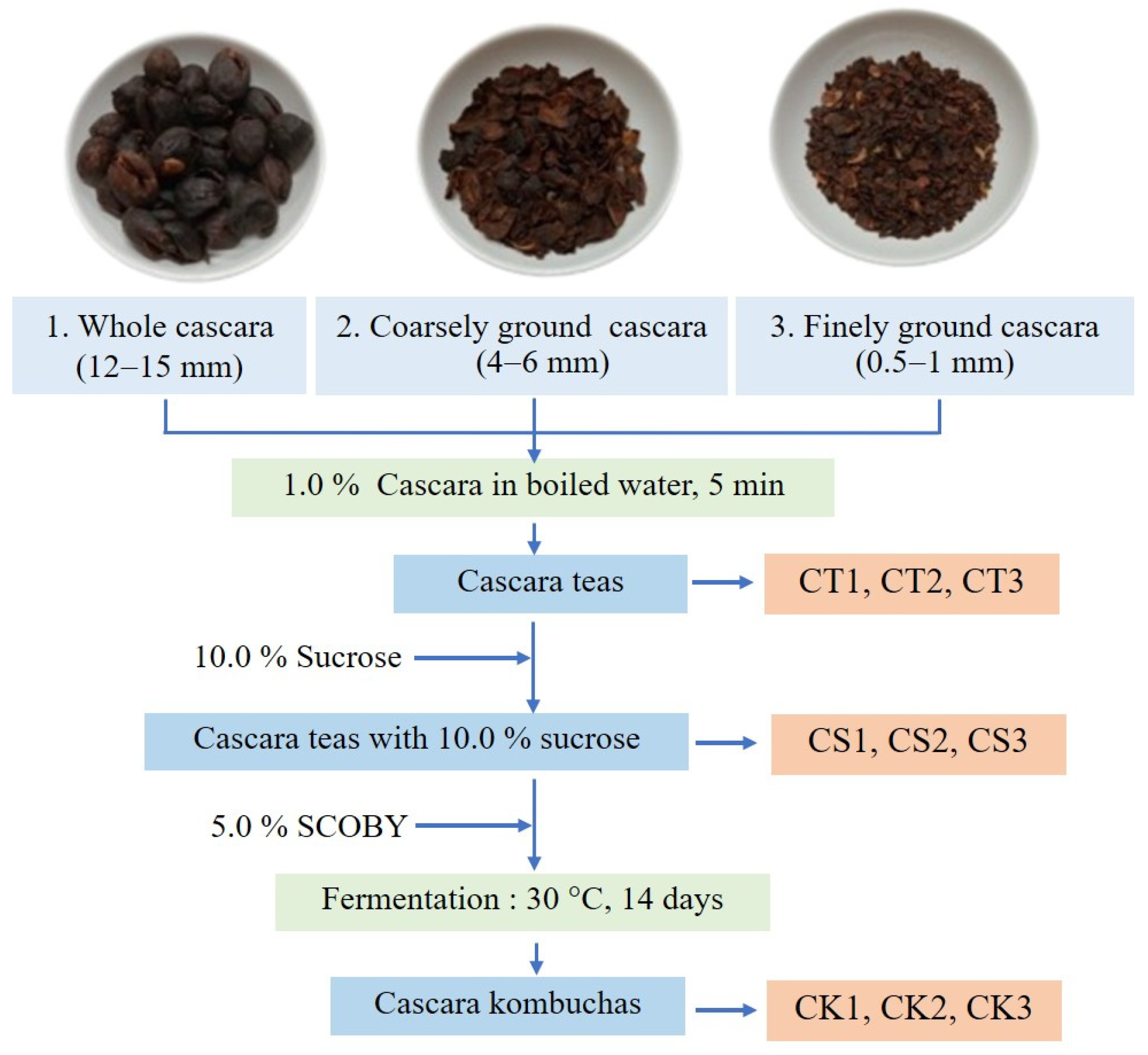 Molecules 30 01934 g001