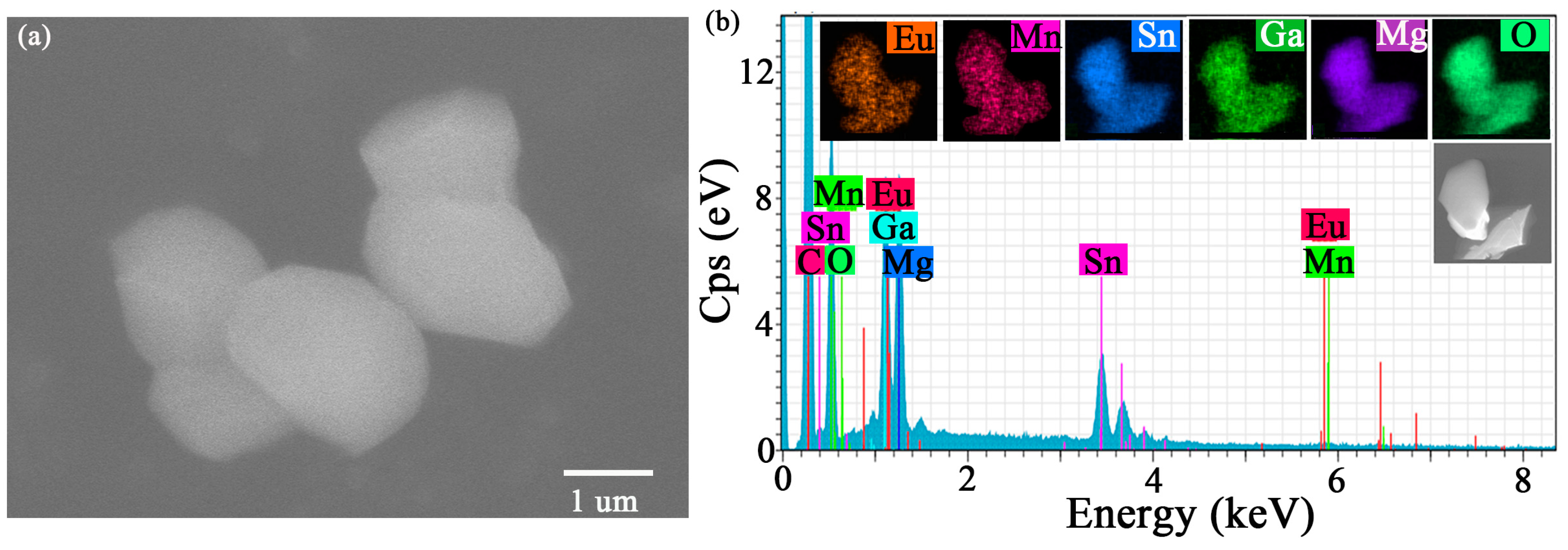 Molecules 30 01945 g003