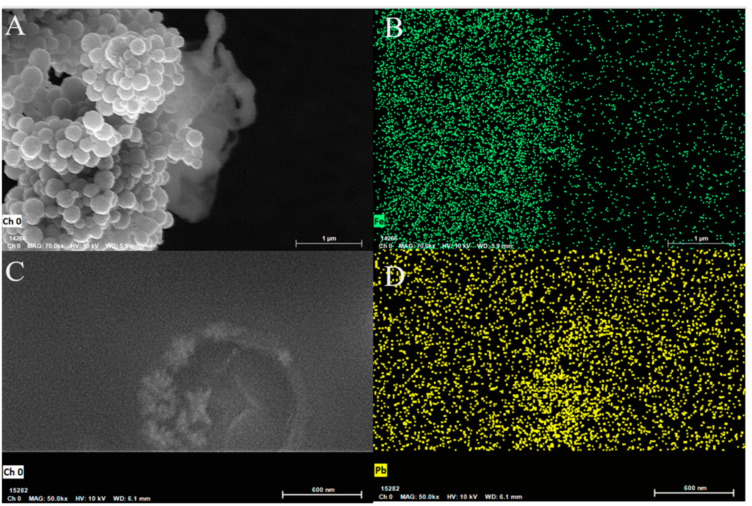 Molecules 30 01951 g001