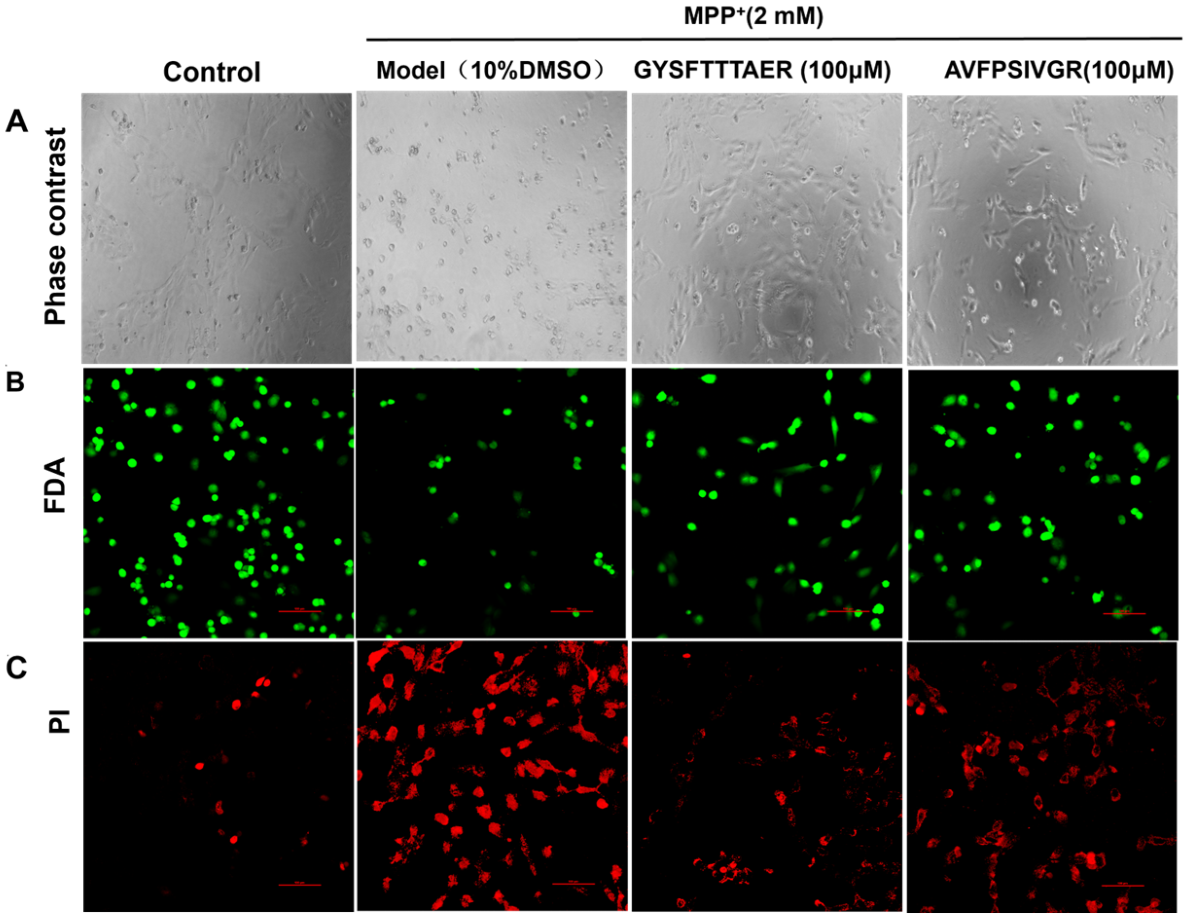 Molecules 30 01952 g003