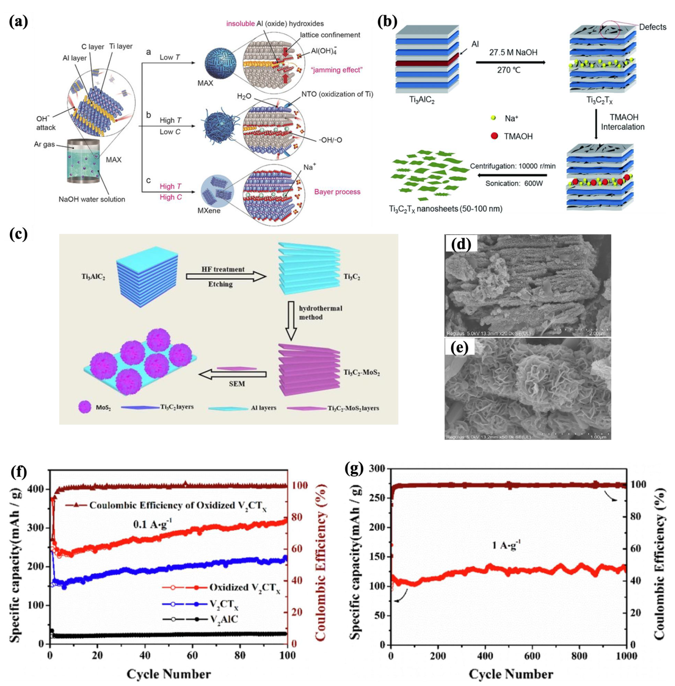Molecules 30 01955 g003