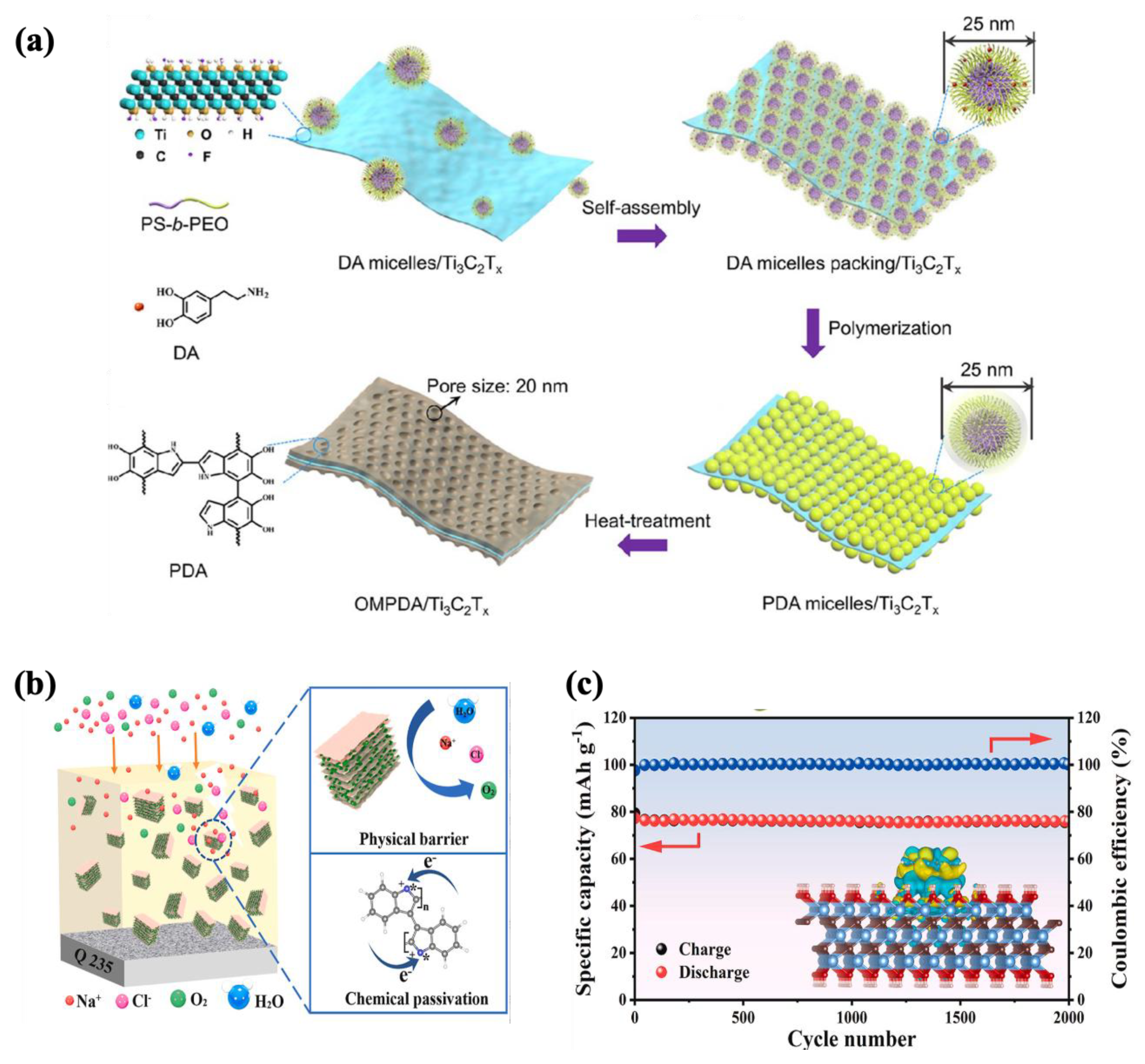 Molecules 30 01955 g010
