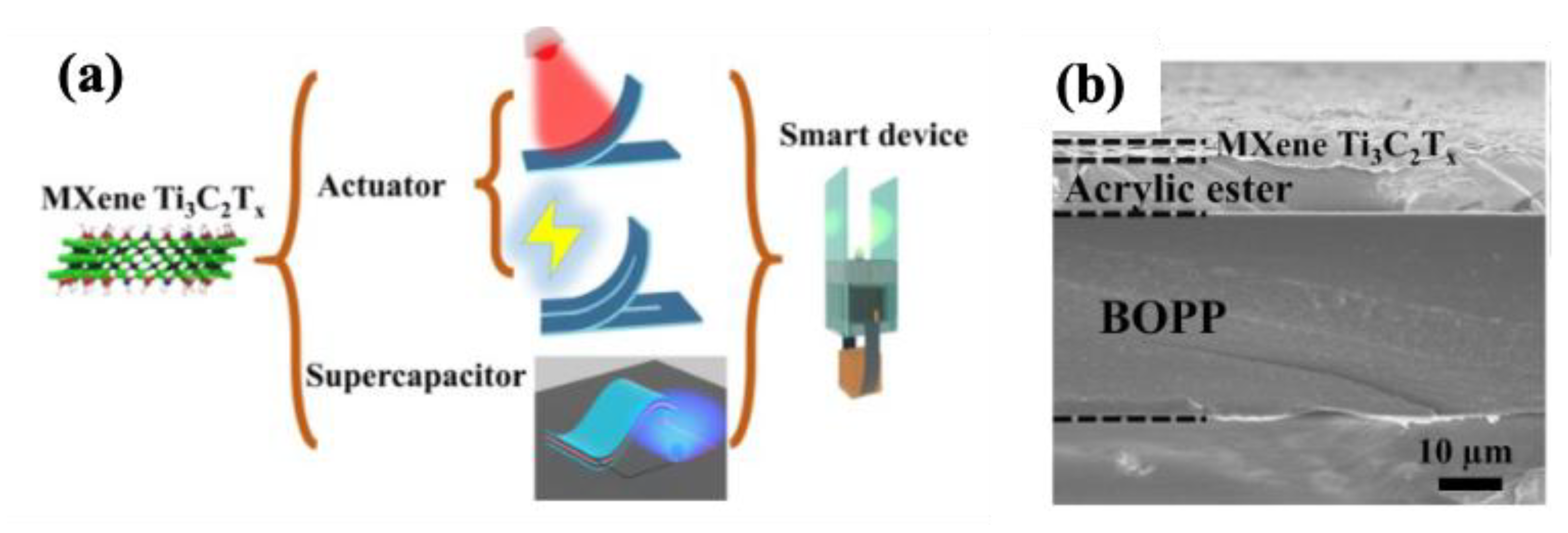 Molecules 30 01955 g016