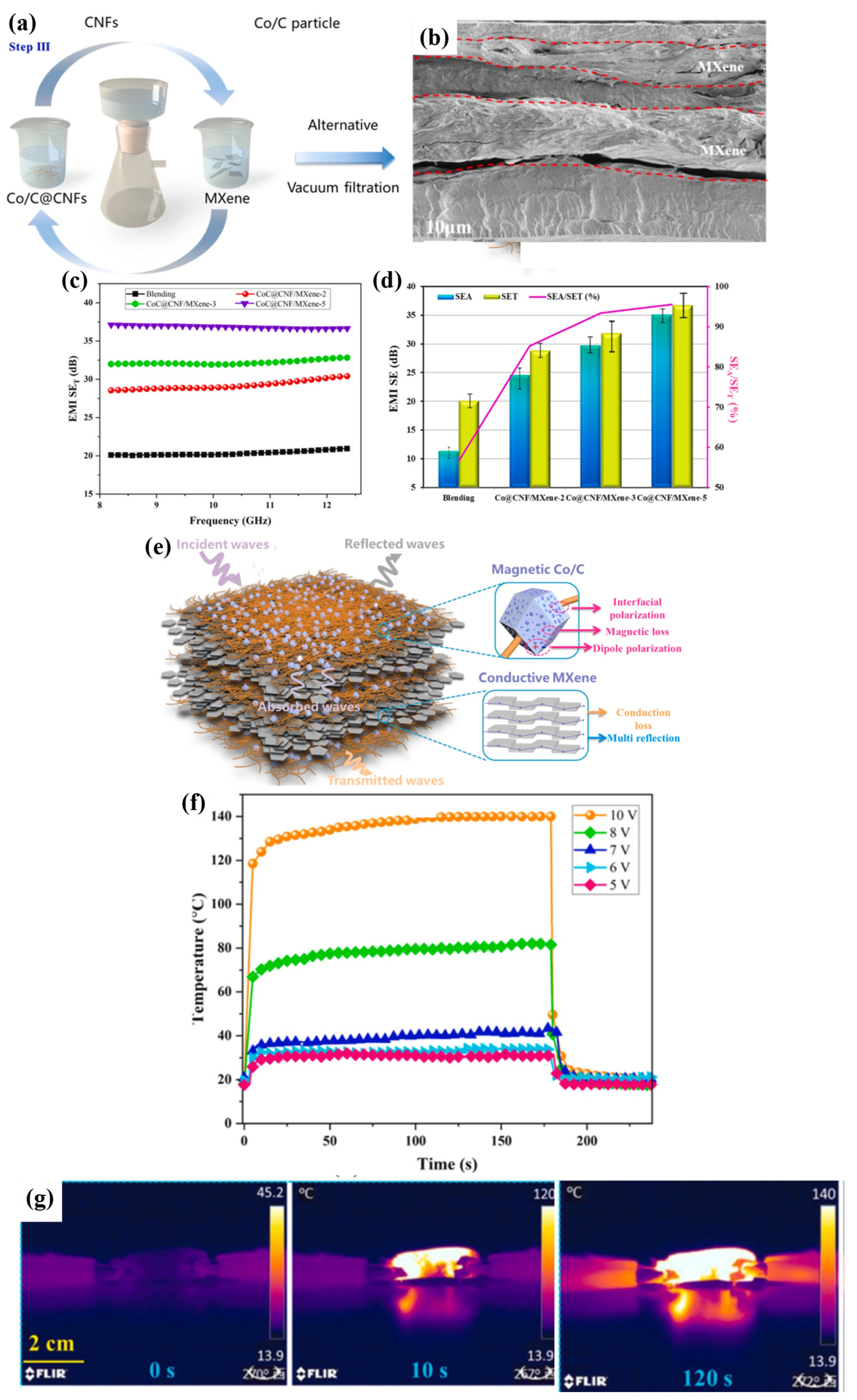 Molecules 30 01955 g041