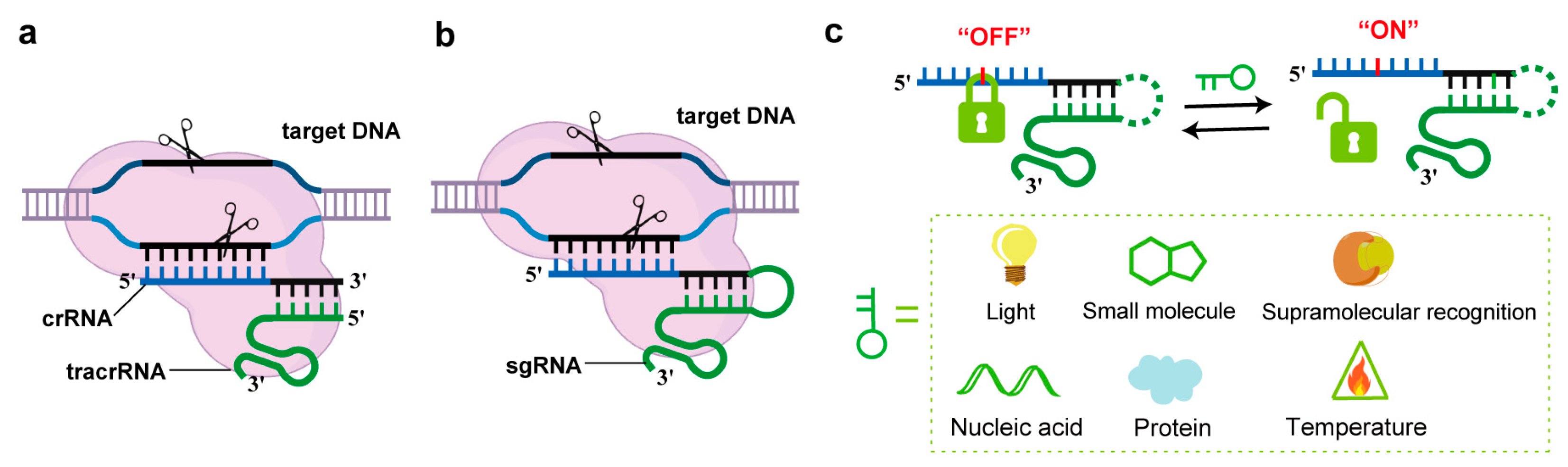 Molecules 30 01956 g001