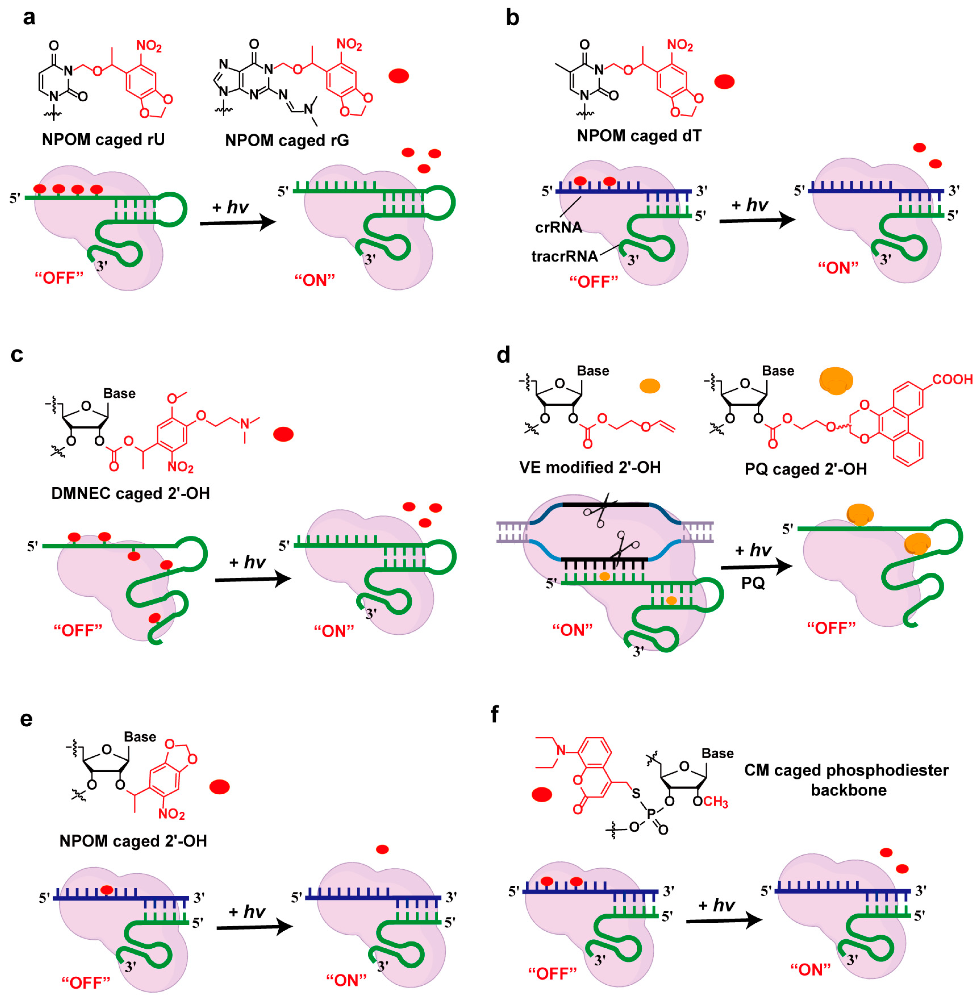 Molecules 30 01956 g002