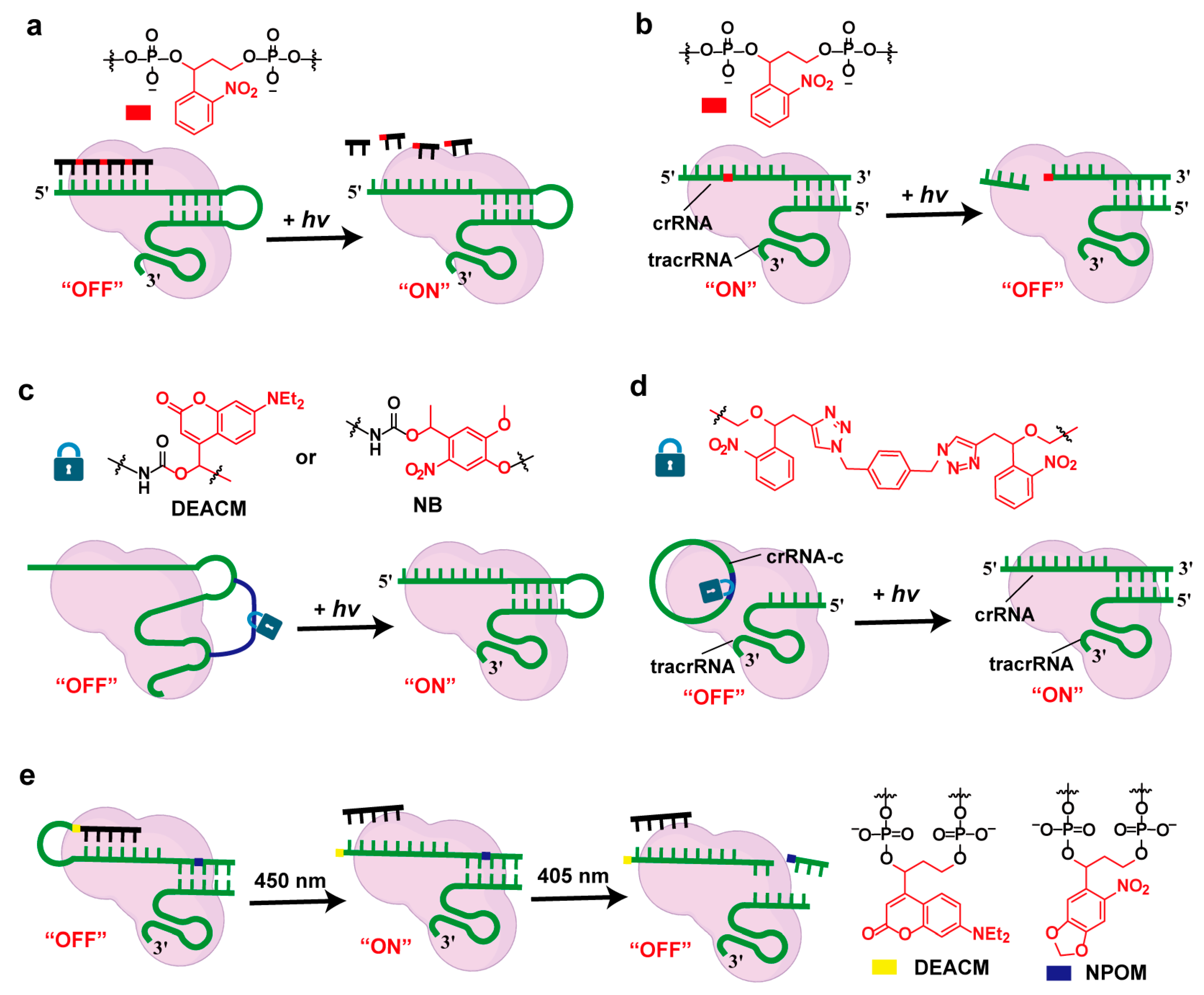 Molecules 30 01956 g003