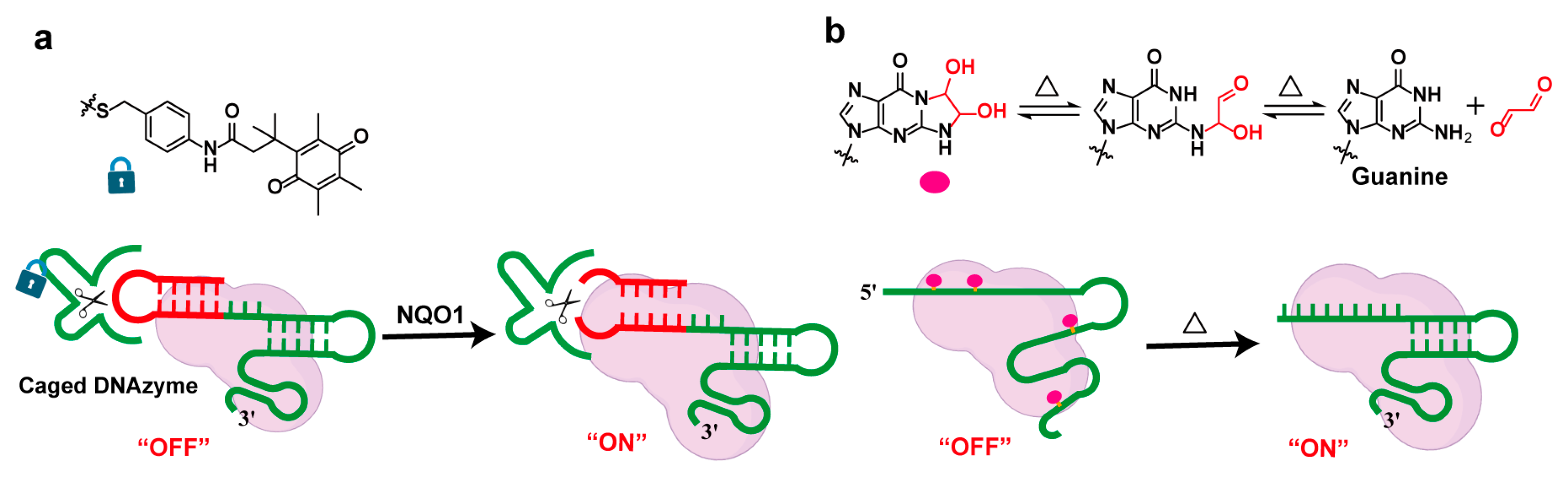 Molecules 30 01956 g006