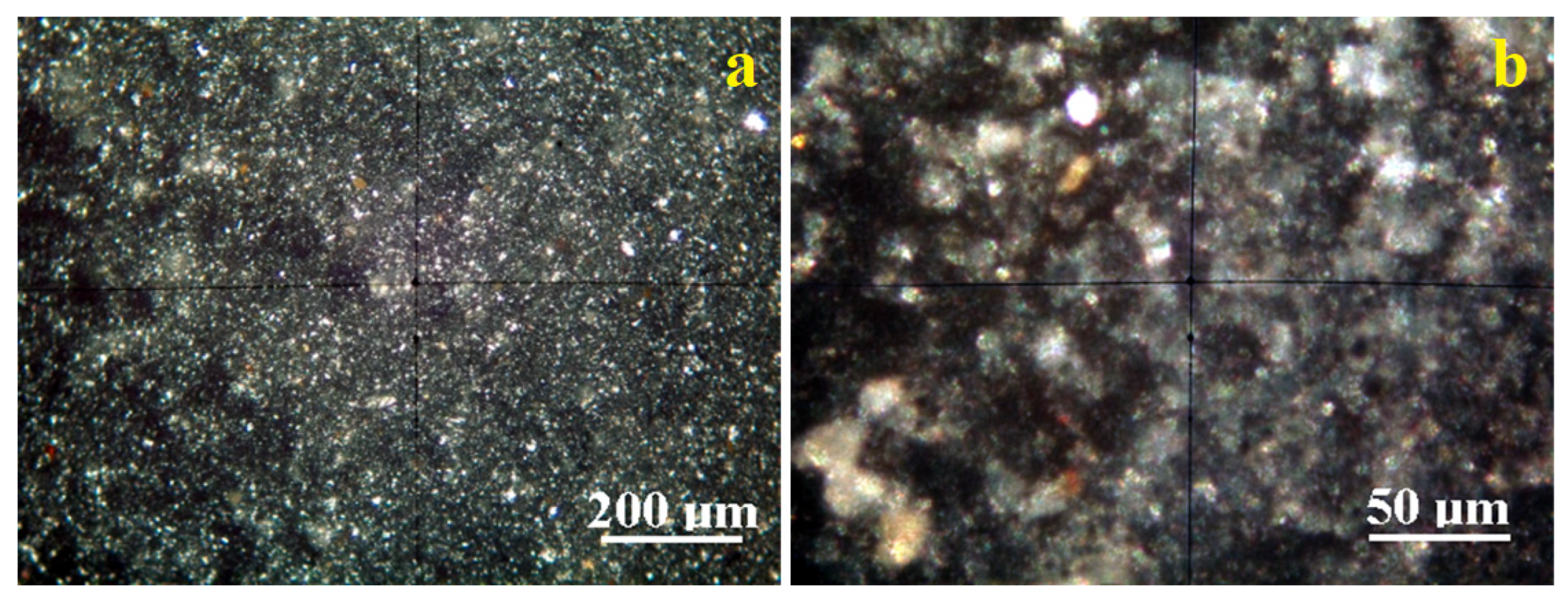 Molecules 30 01959 g005
