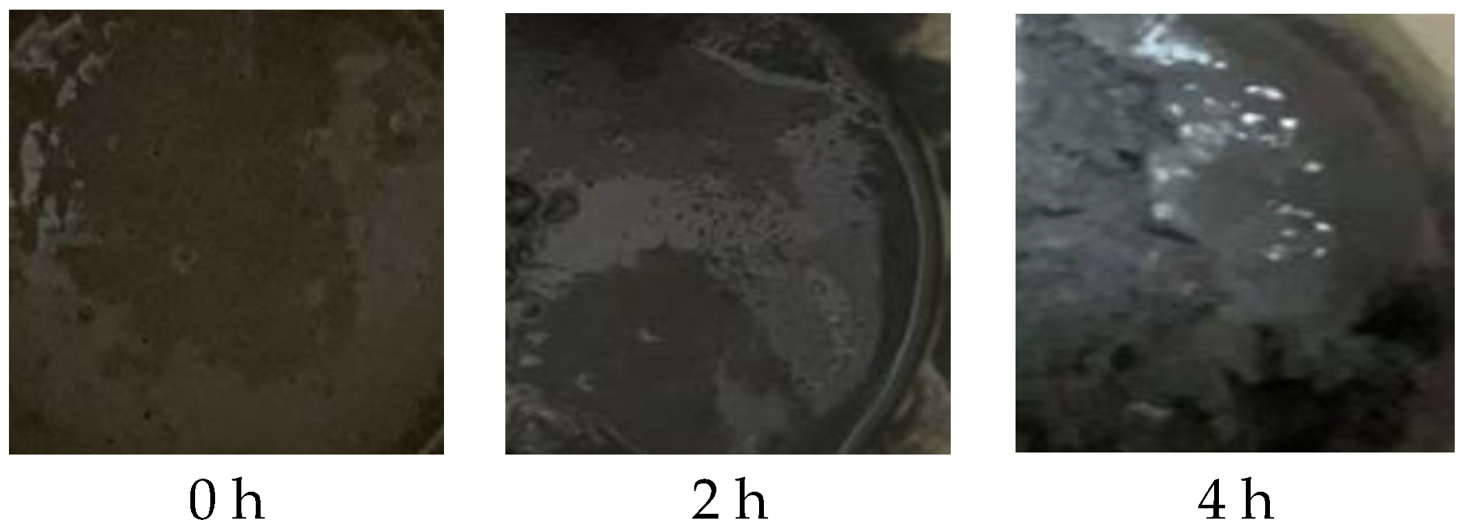 Molecules 30 01967 g011