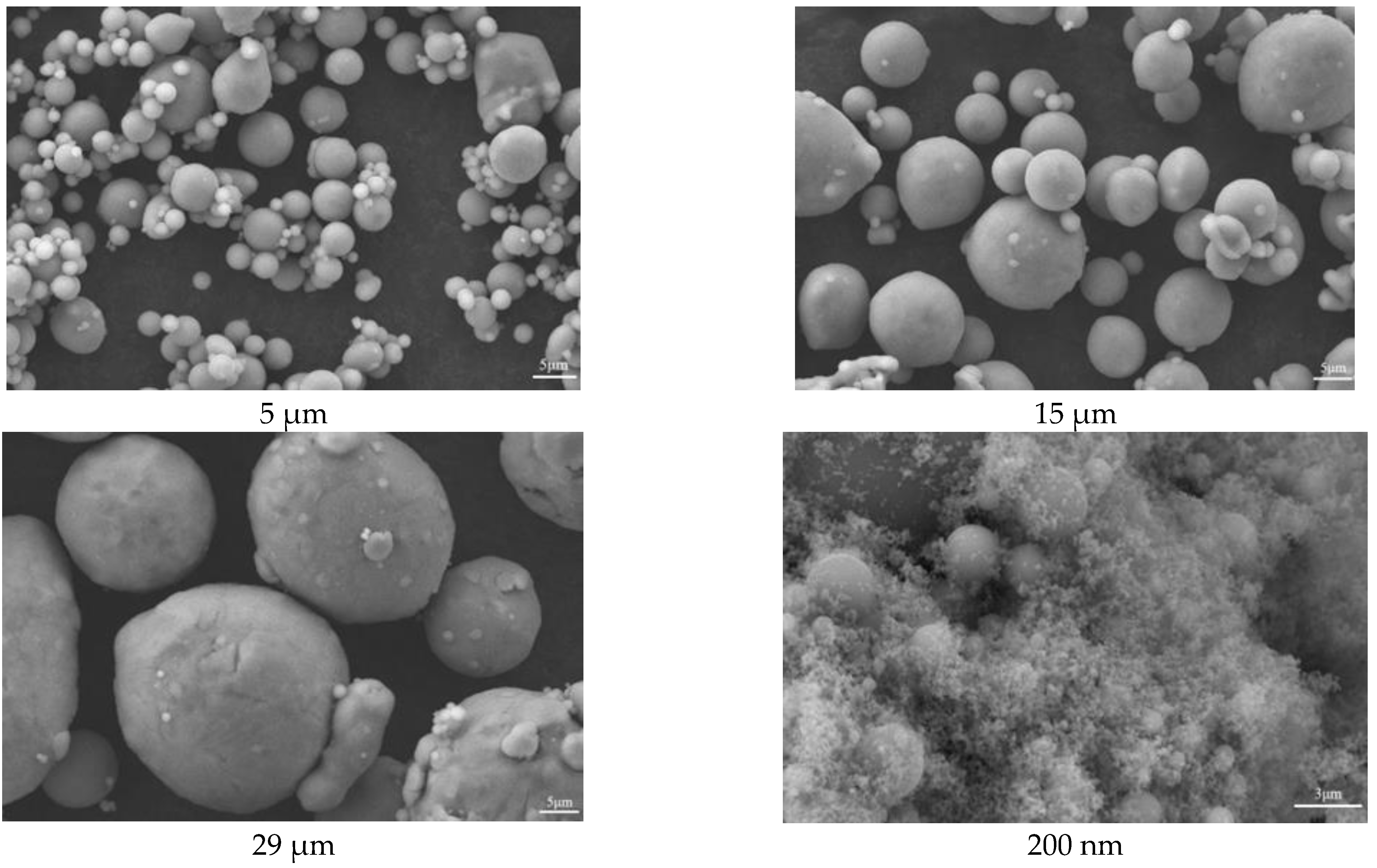Molecules 30 01967 g014