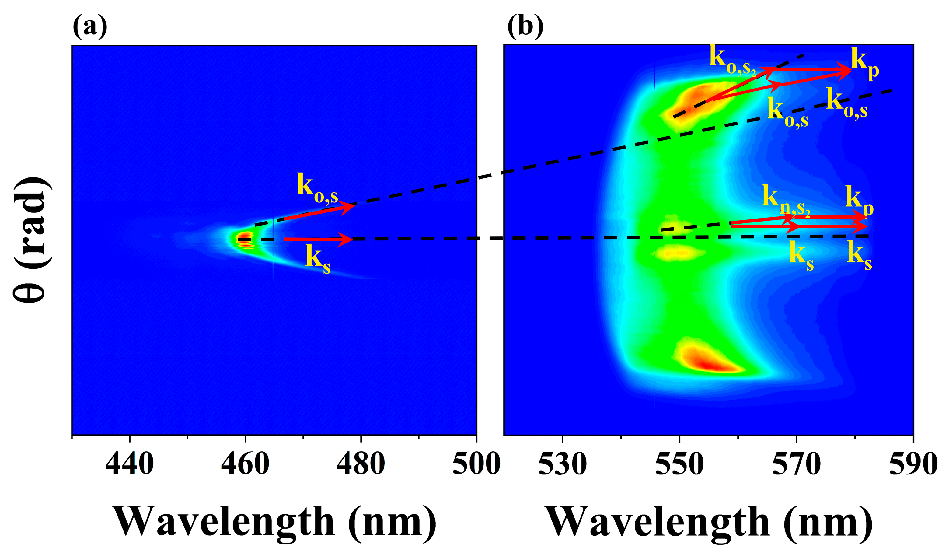 Molecules 30 01969 g006