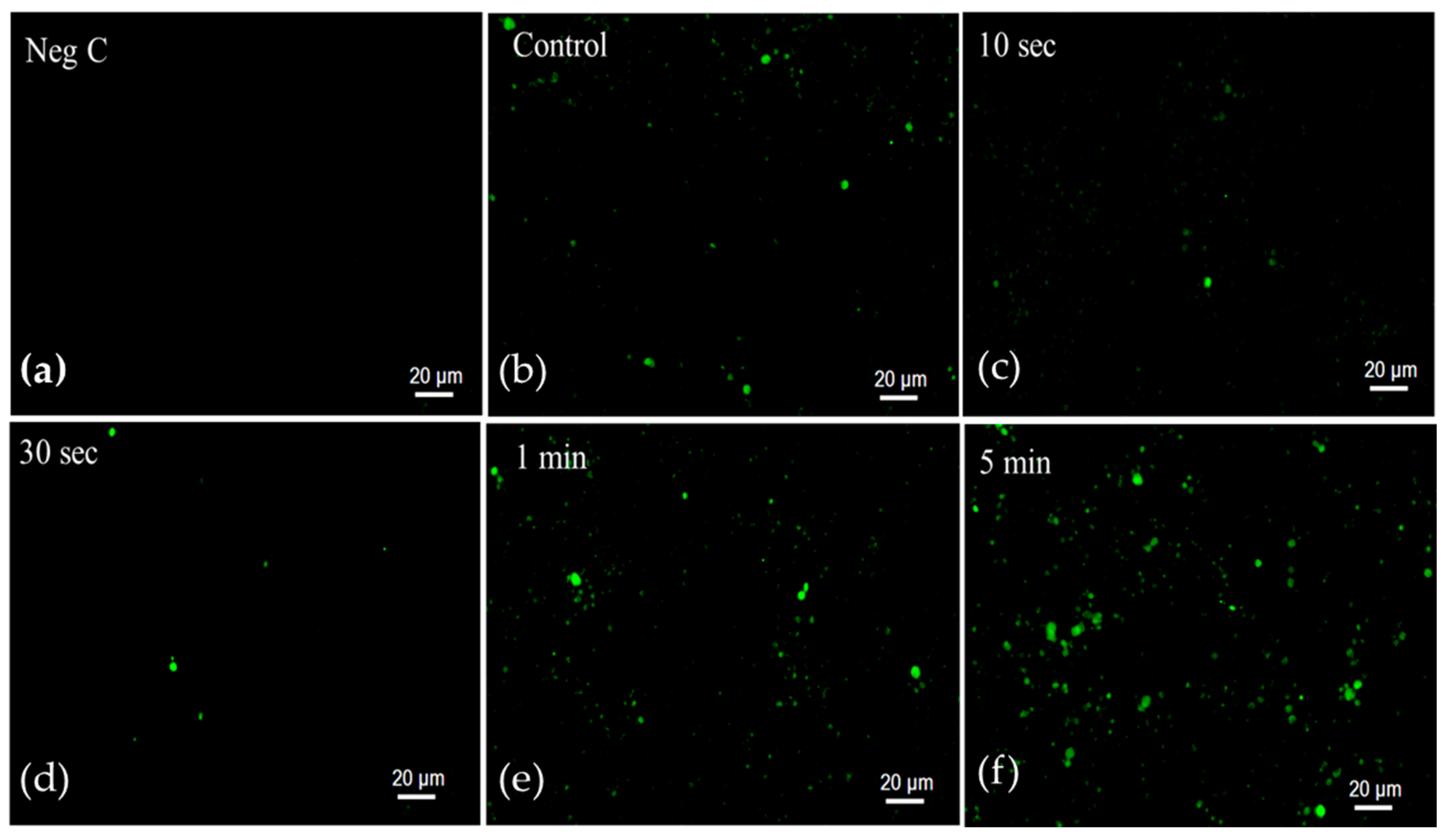 Molecules 30 01970 g003