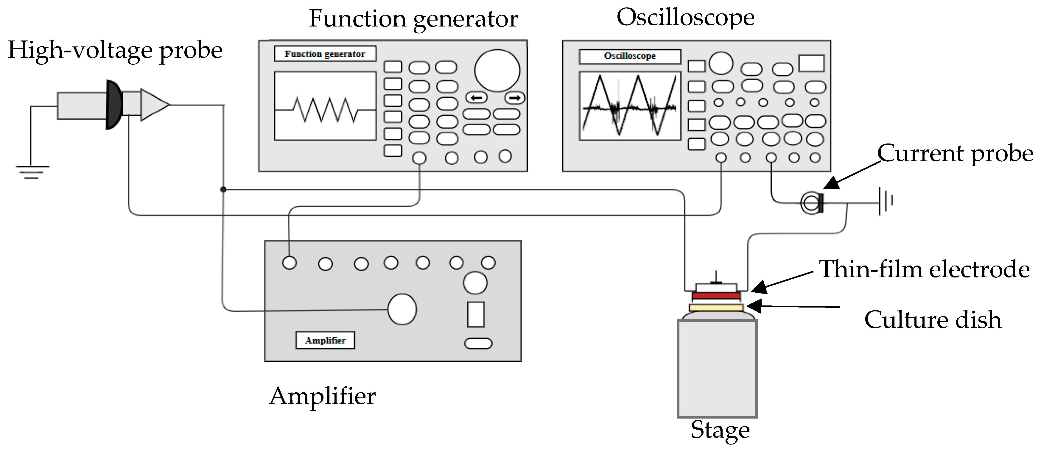 Molecules 30 01970 g012