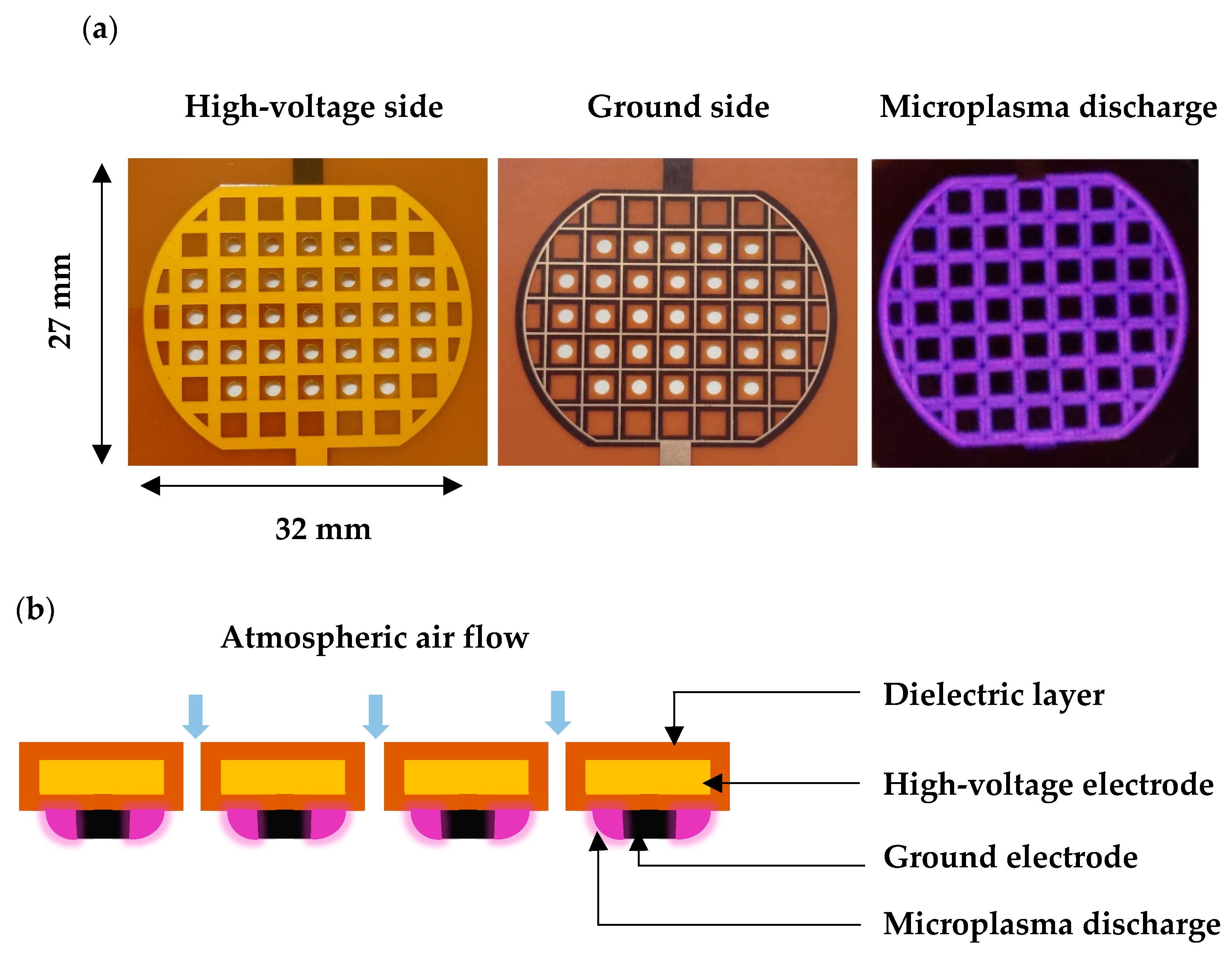 Molecules 30 01970 g013