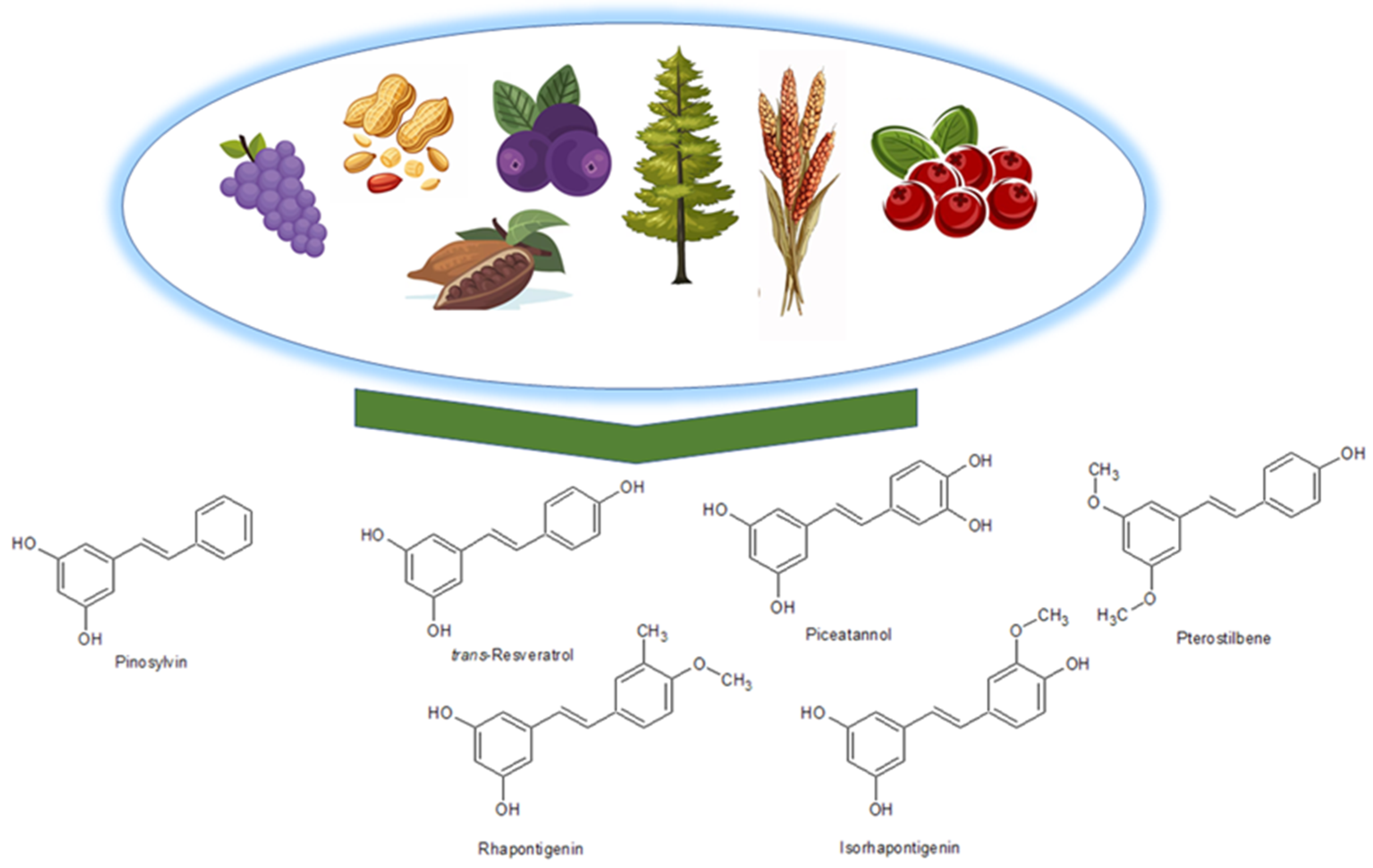 Molecules 30 01973 g005