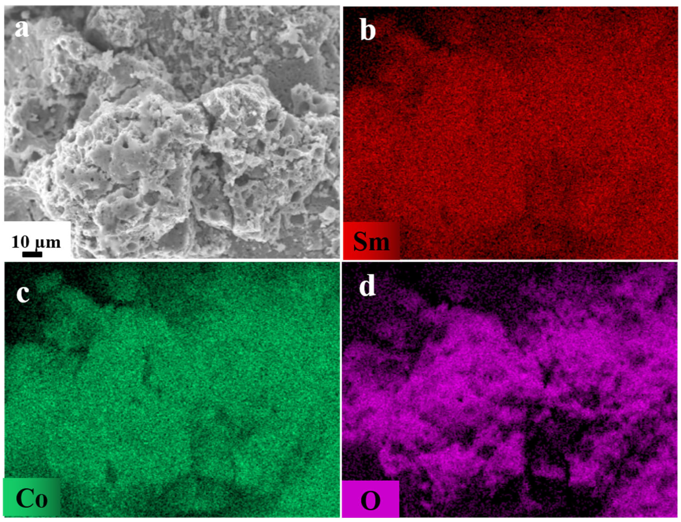 Molecules 30 01975 g002