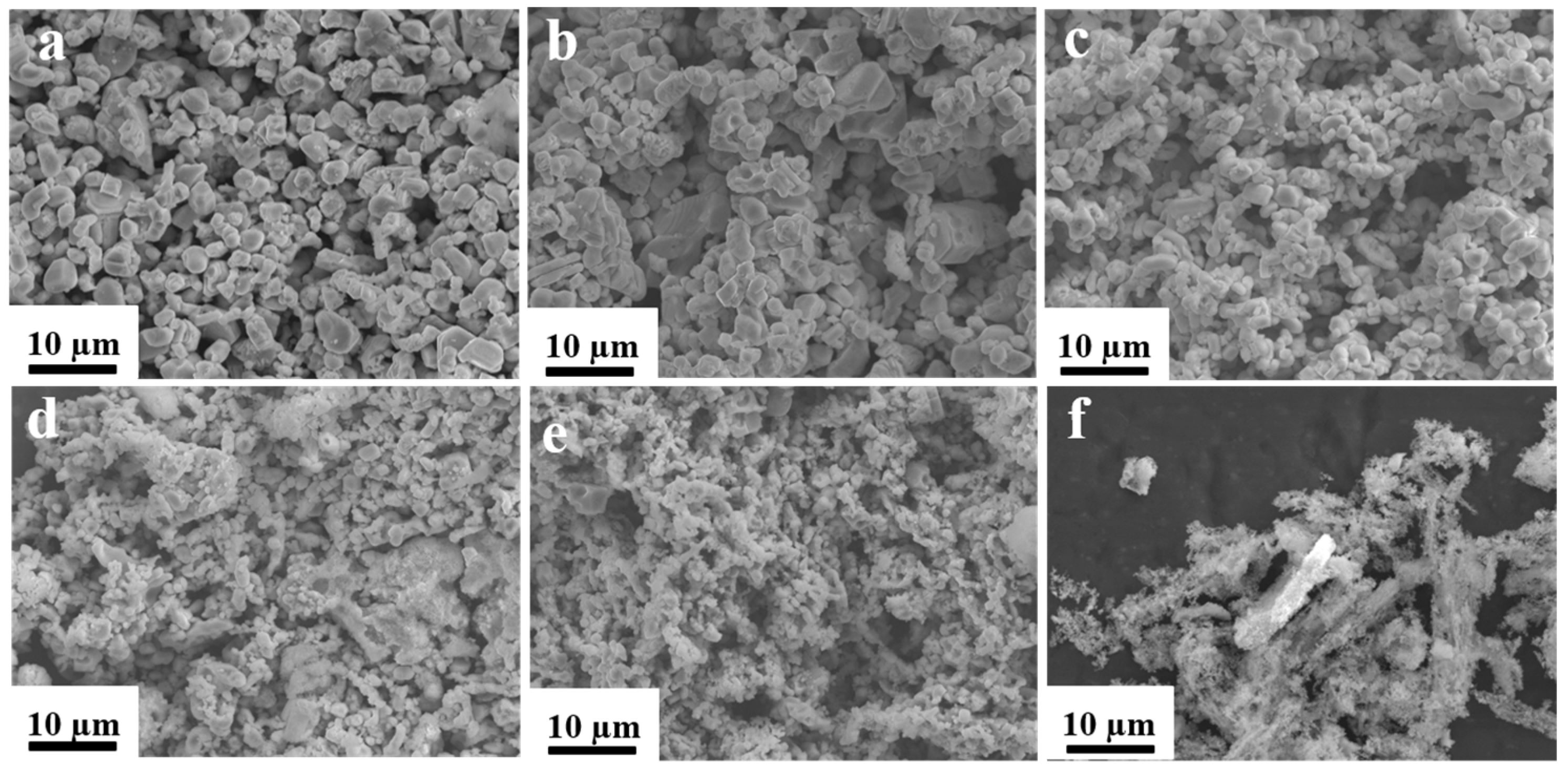 Molecules 30 01975 g006