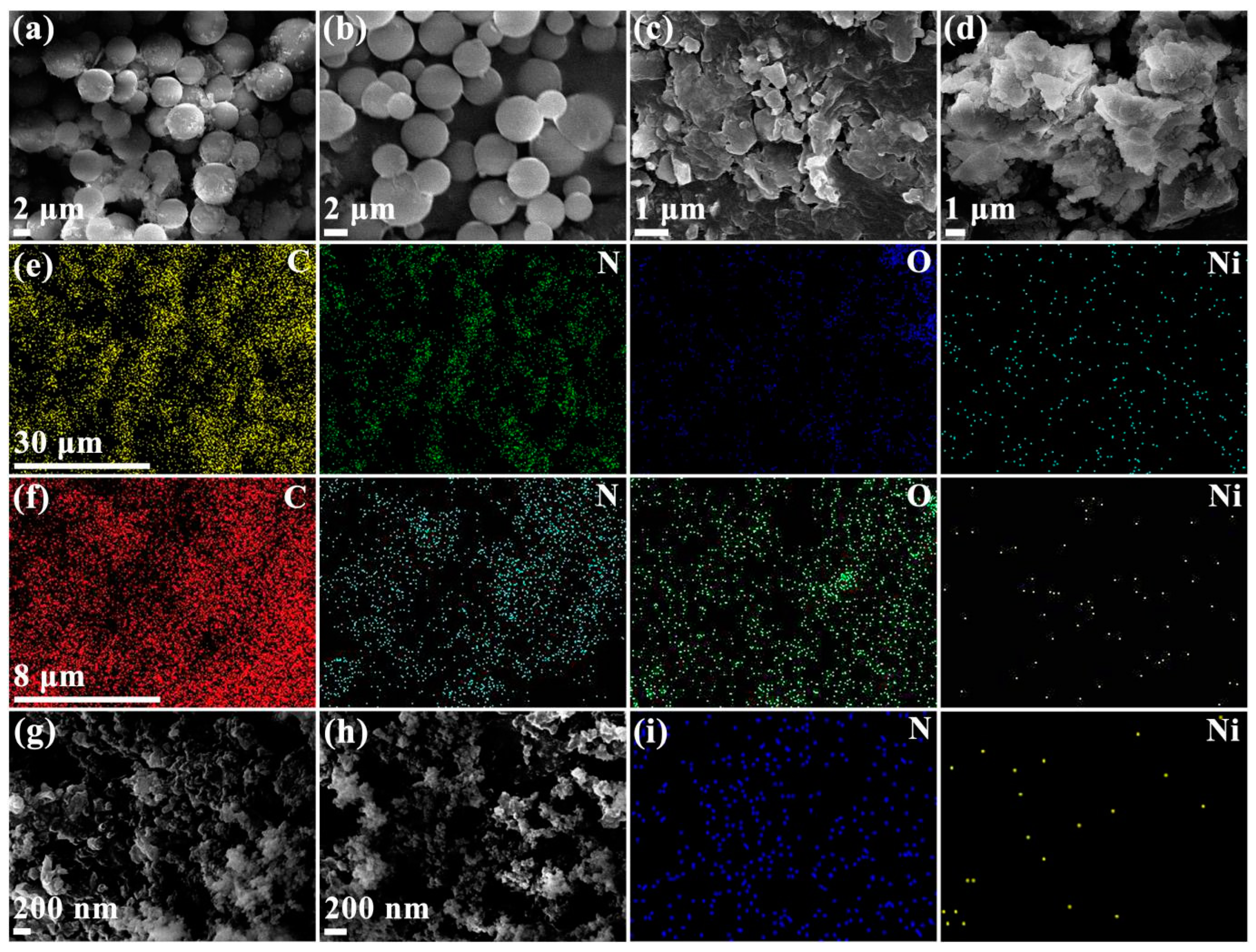Molecules 30 01977 g003