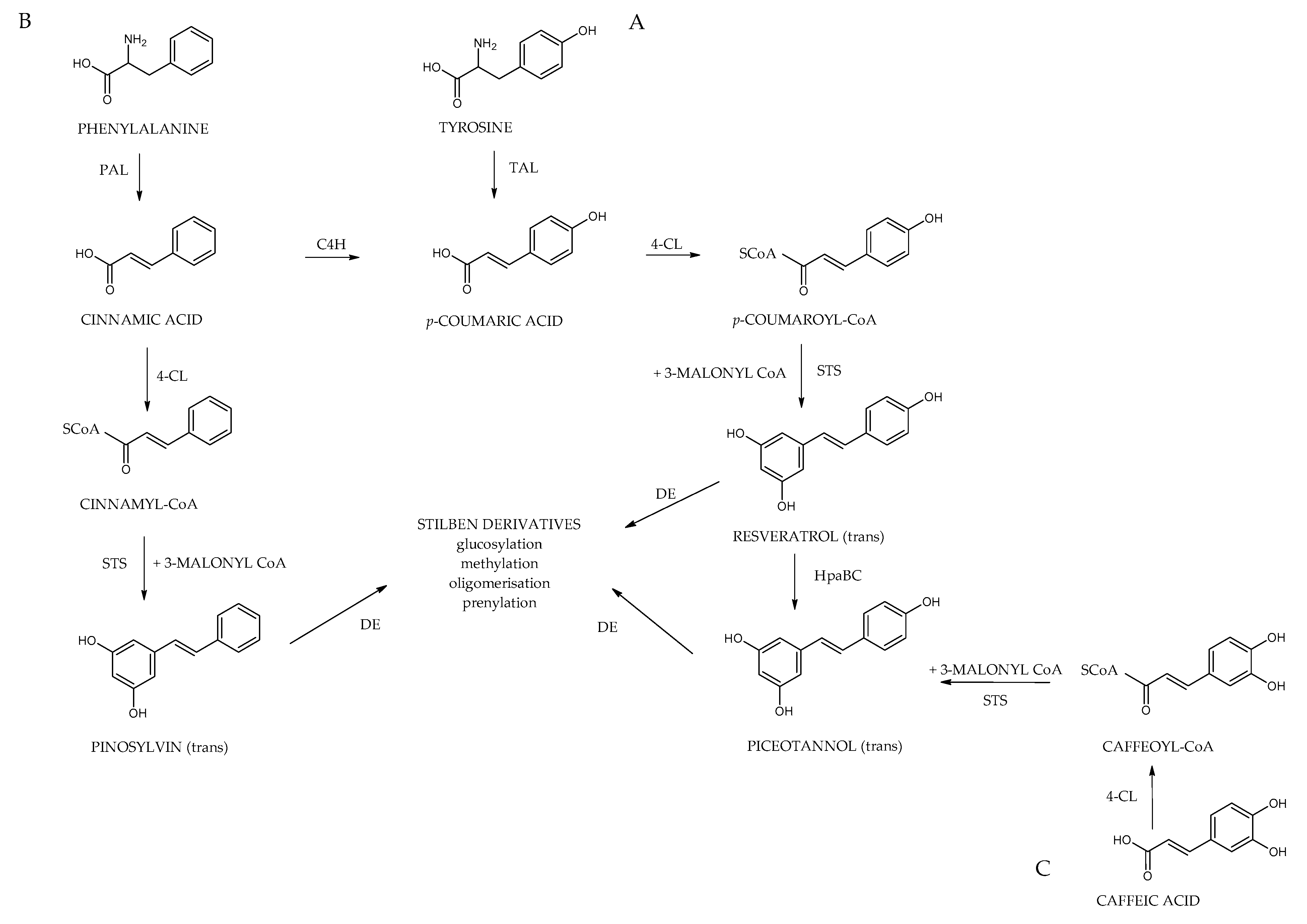 Molecules 30 01982 g007 Molecules 30 01982 g007