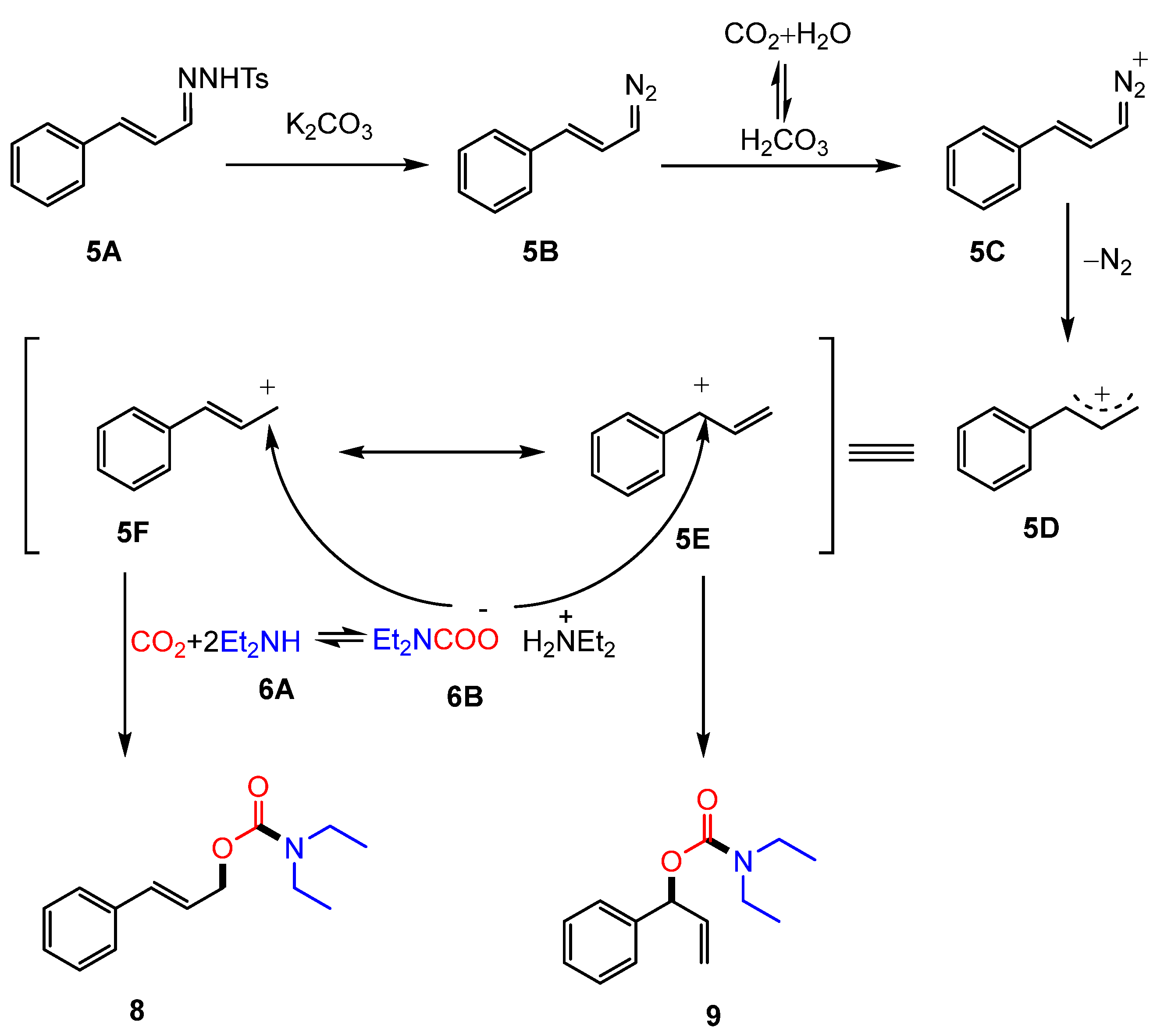 Molecules 30 01987 g004