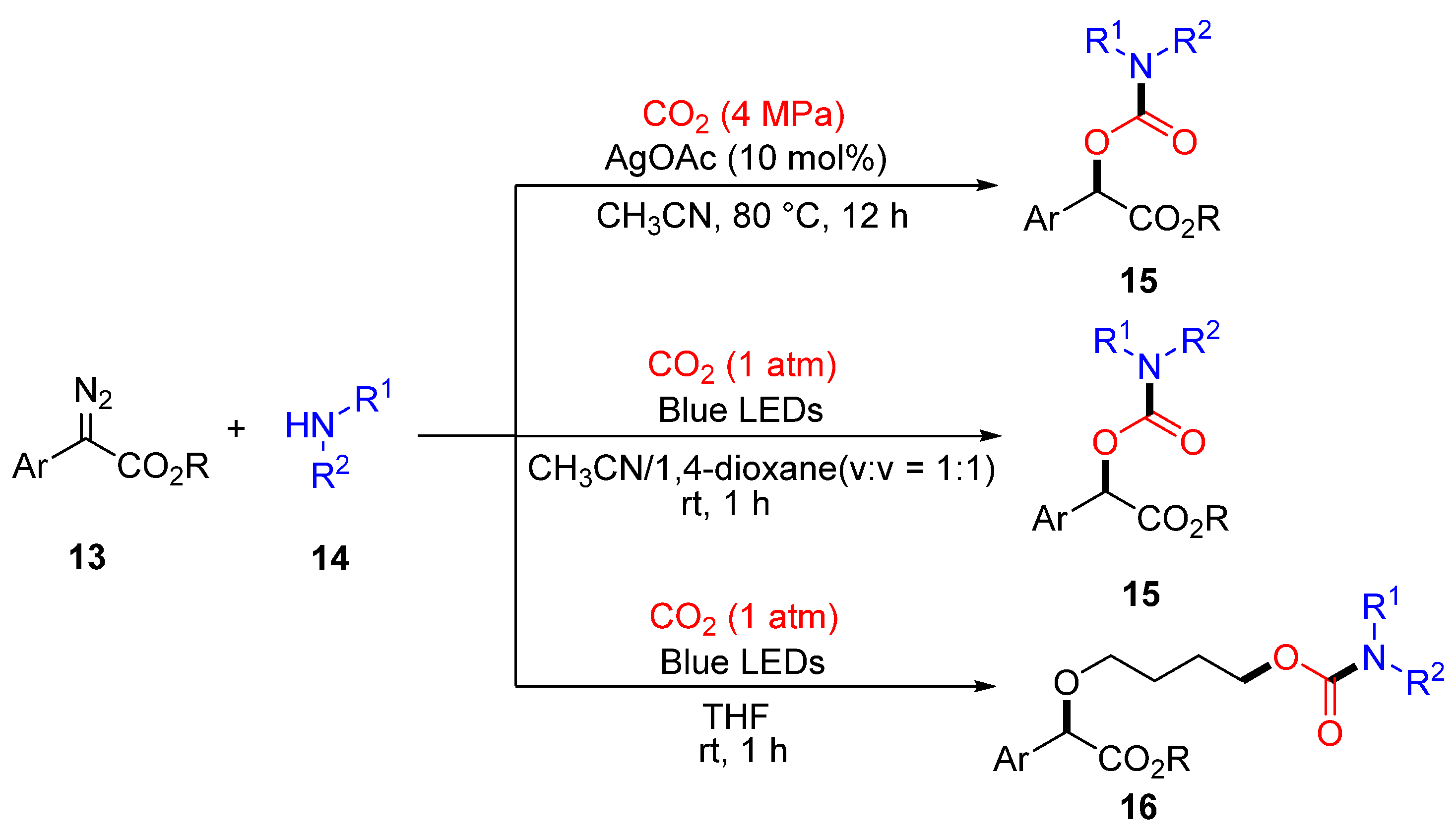 Molecules 30 01987 g006