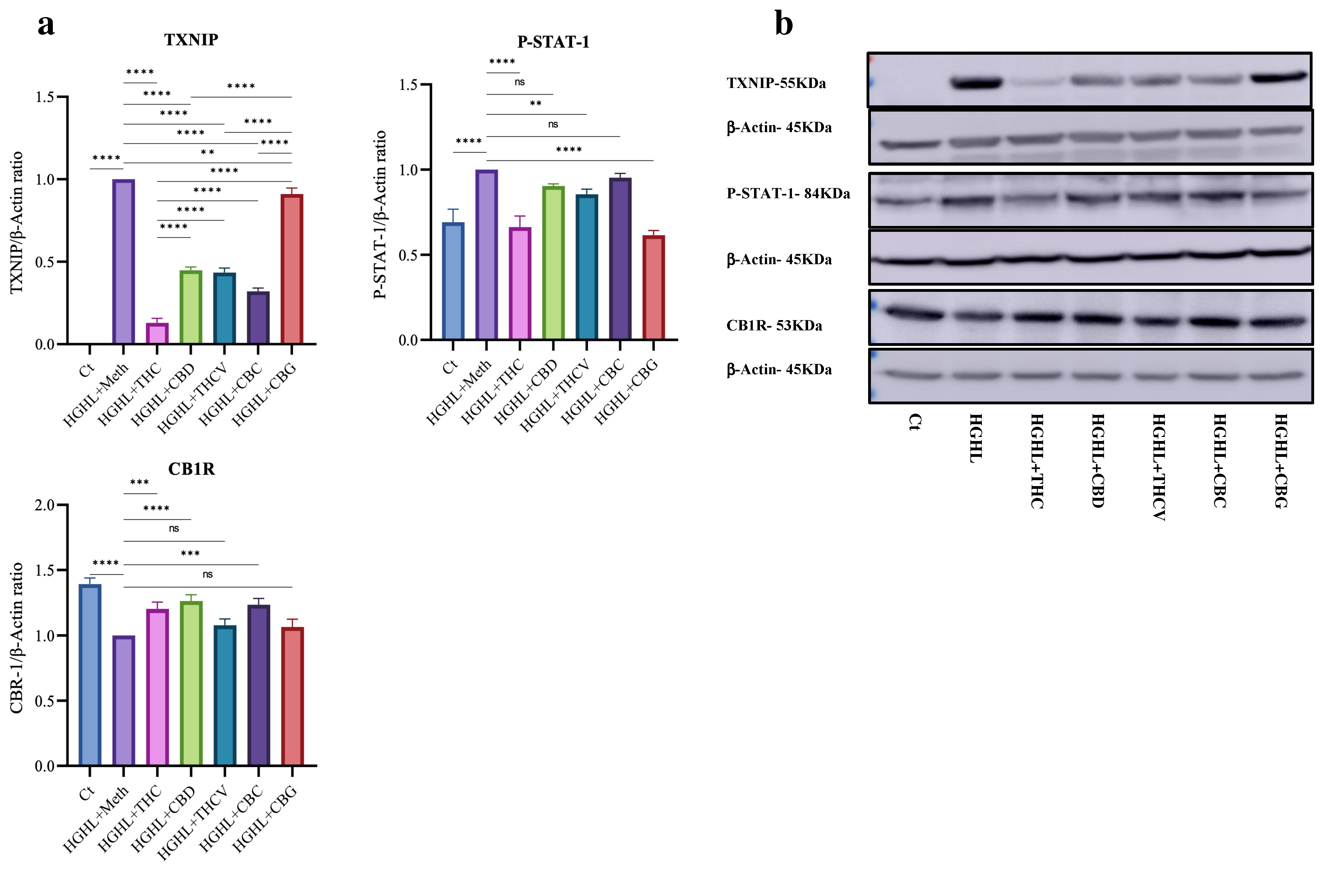 Molecules 30 01991 g004