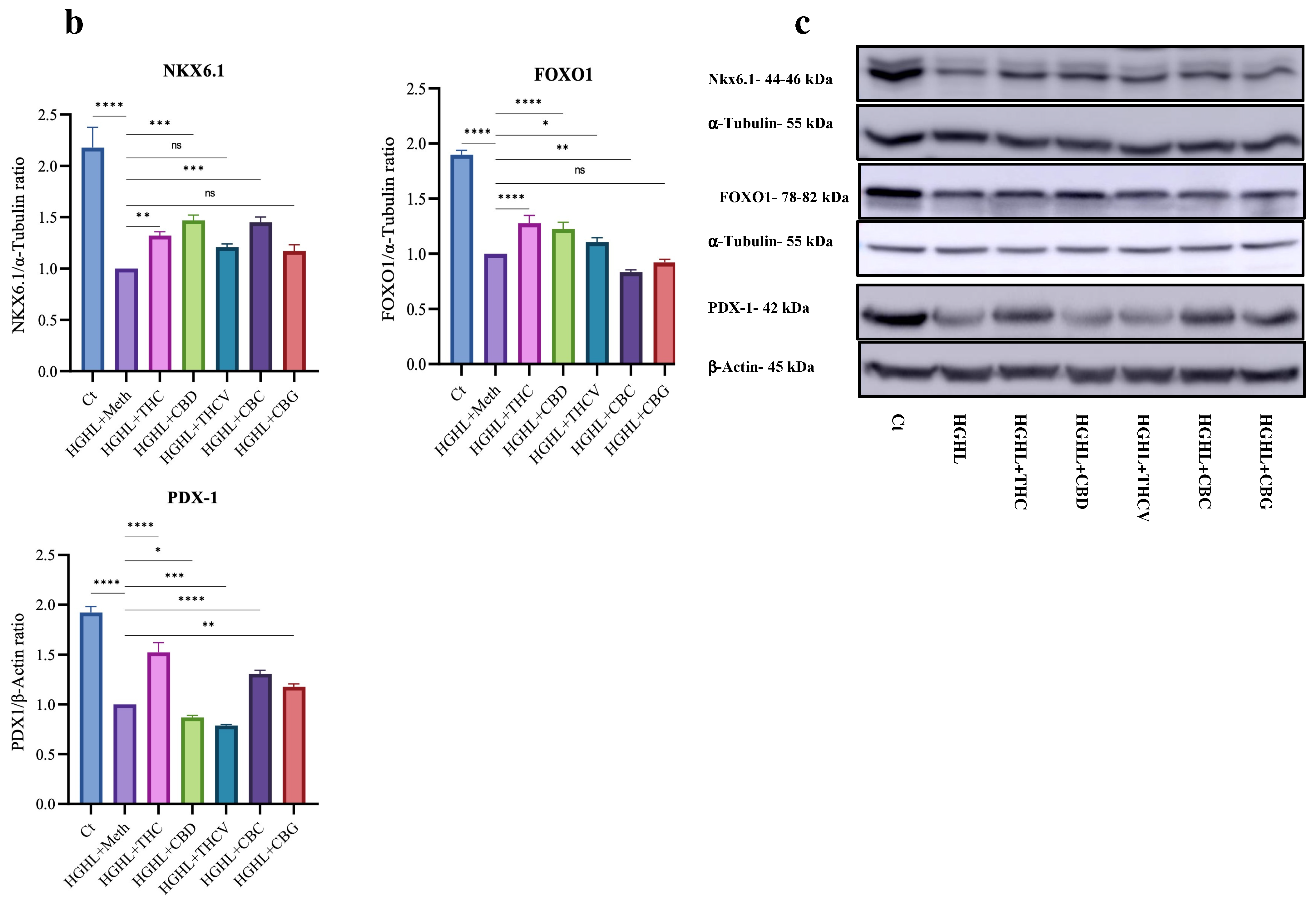 Molecules 30 01991 g005b