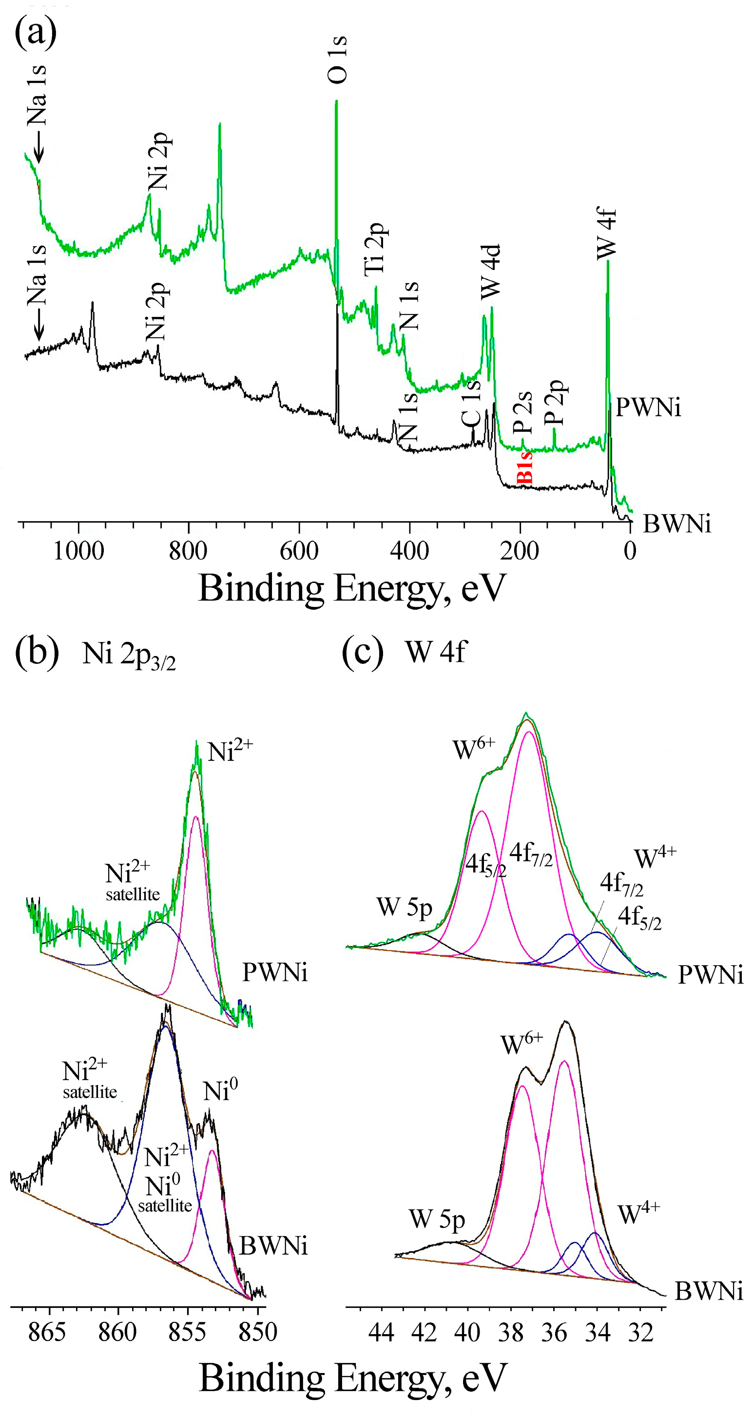 Molecules 30 01998 g006
