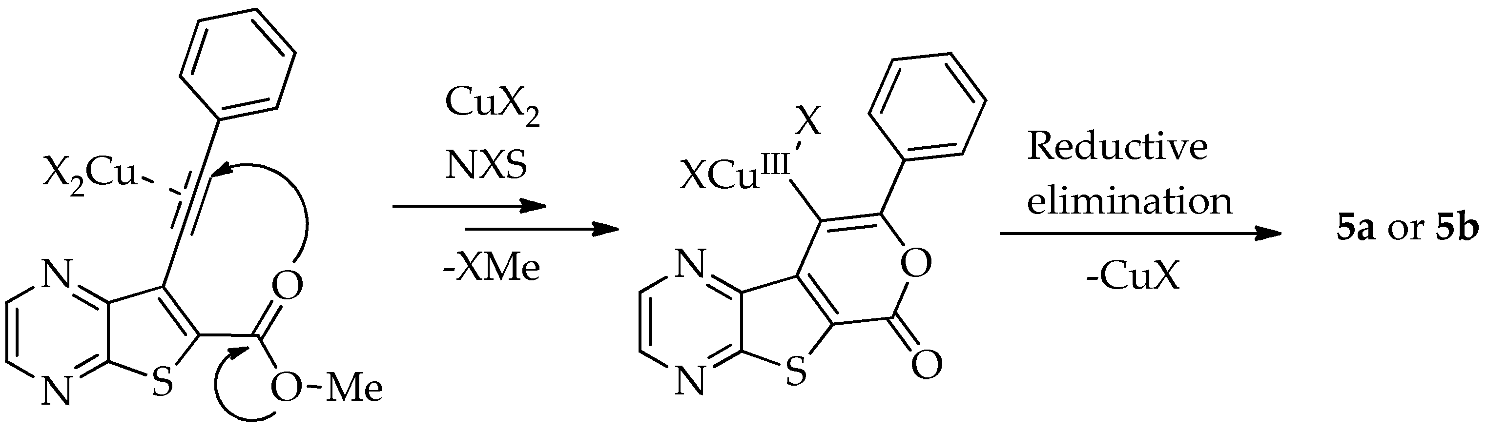 Molecules 30 01999 sch004