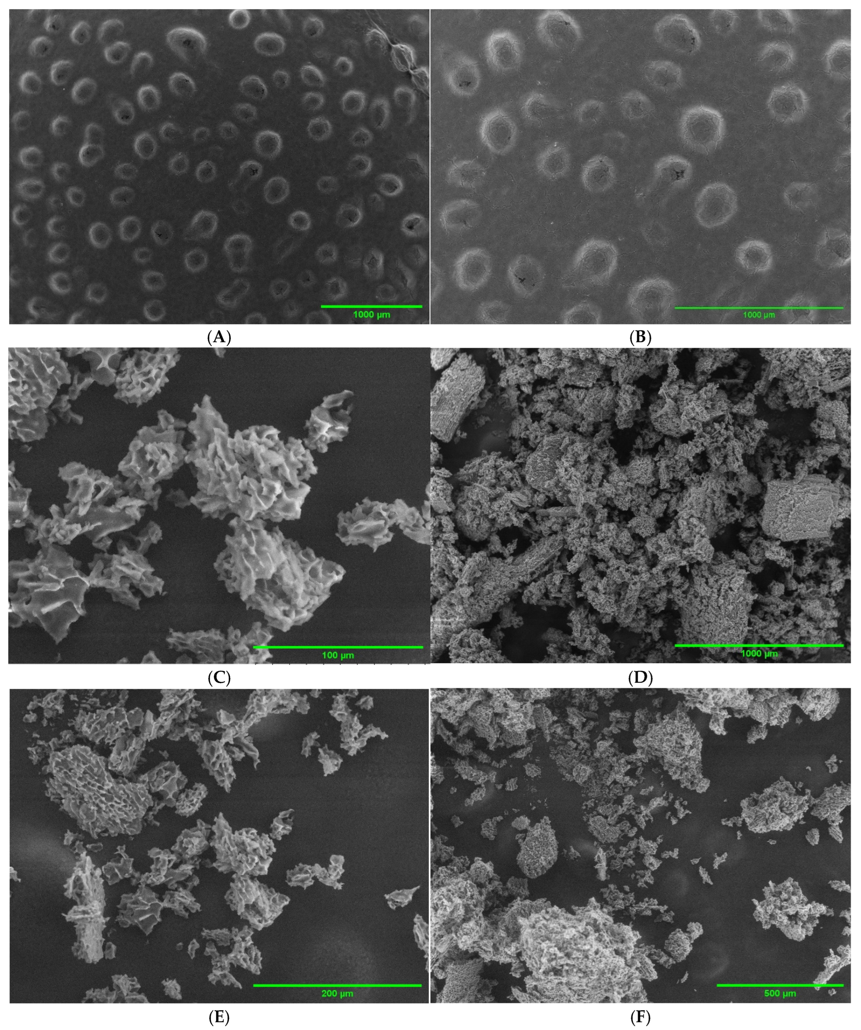 Molecules 30 02007 g001 Molecules 30 02007 g001