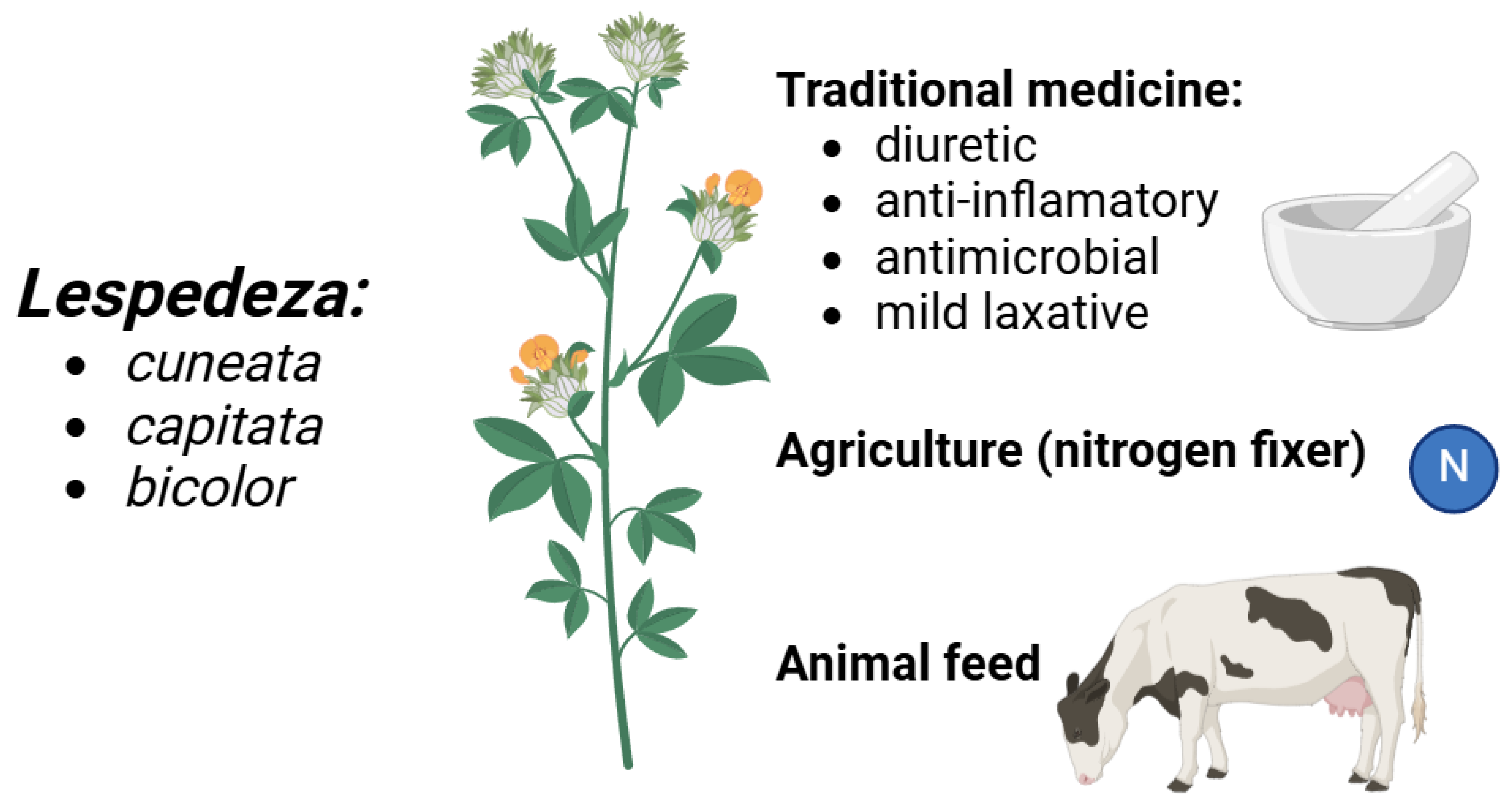Molecules 30 02013 g001