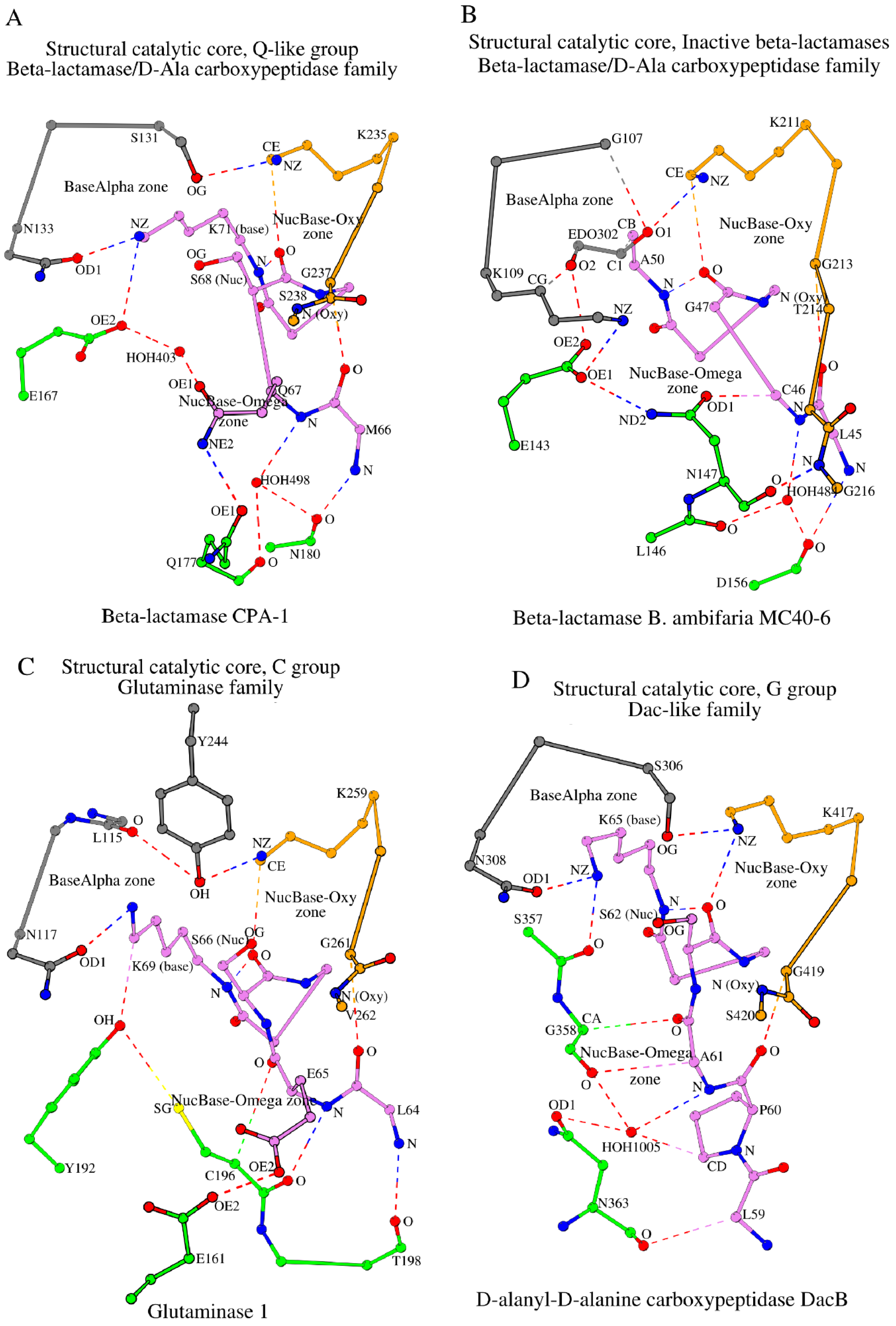Molecules 30 02019 g004
