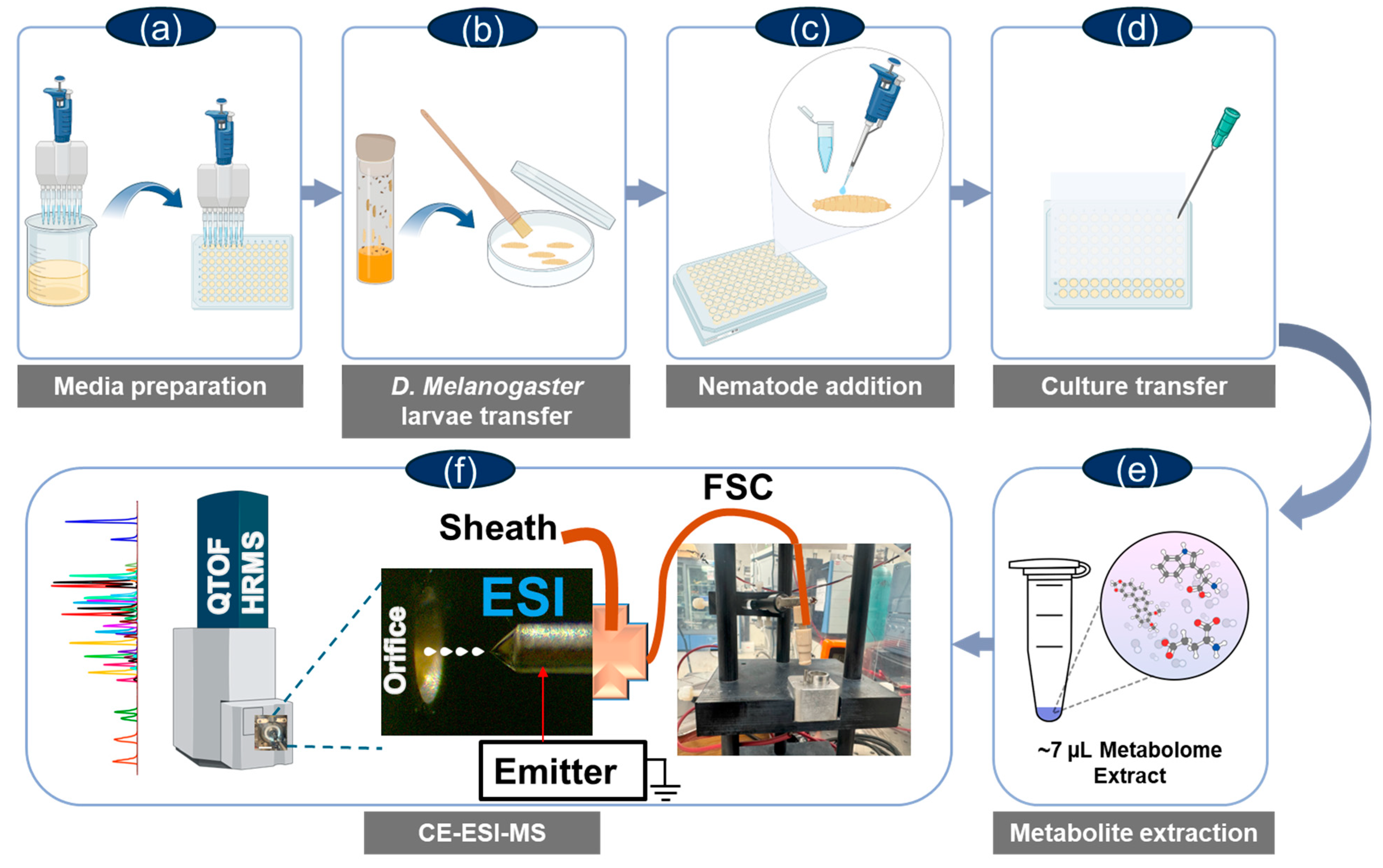 Molecules 30 02023 g001