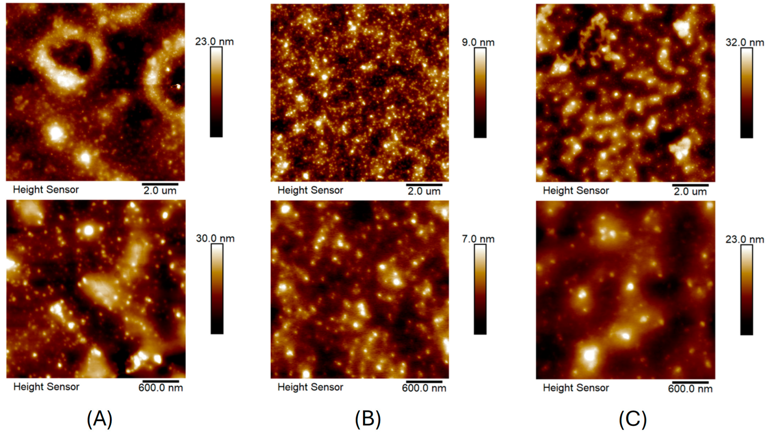 Molecules 30 02024 g004