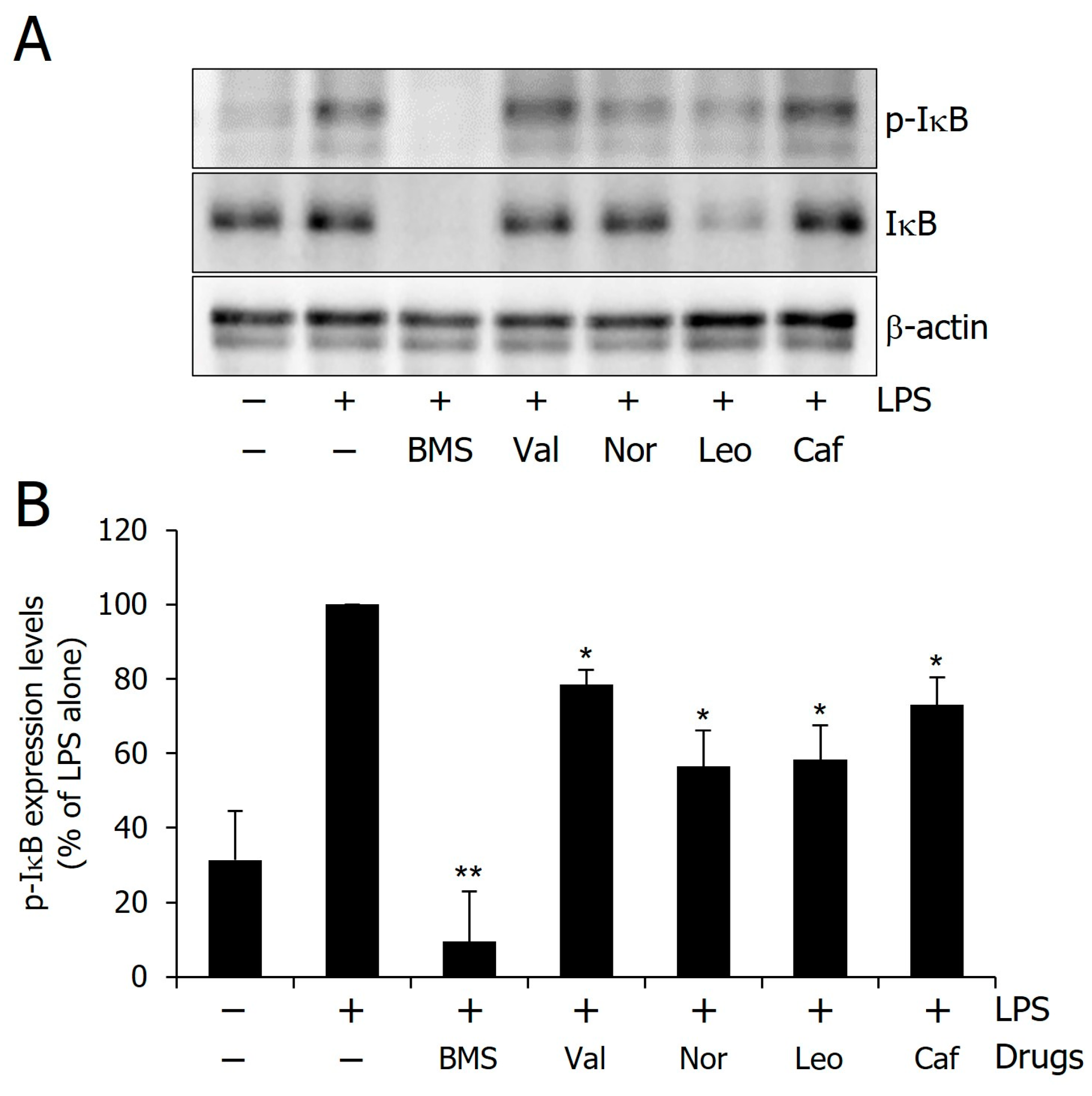 Molecules 30 02025 g010