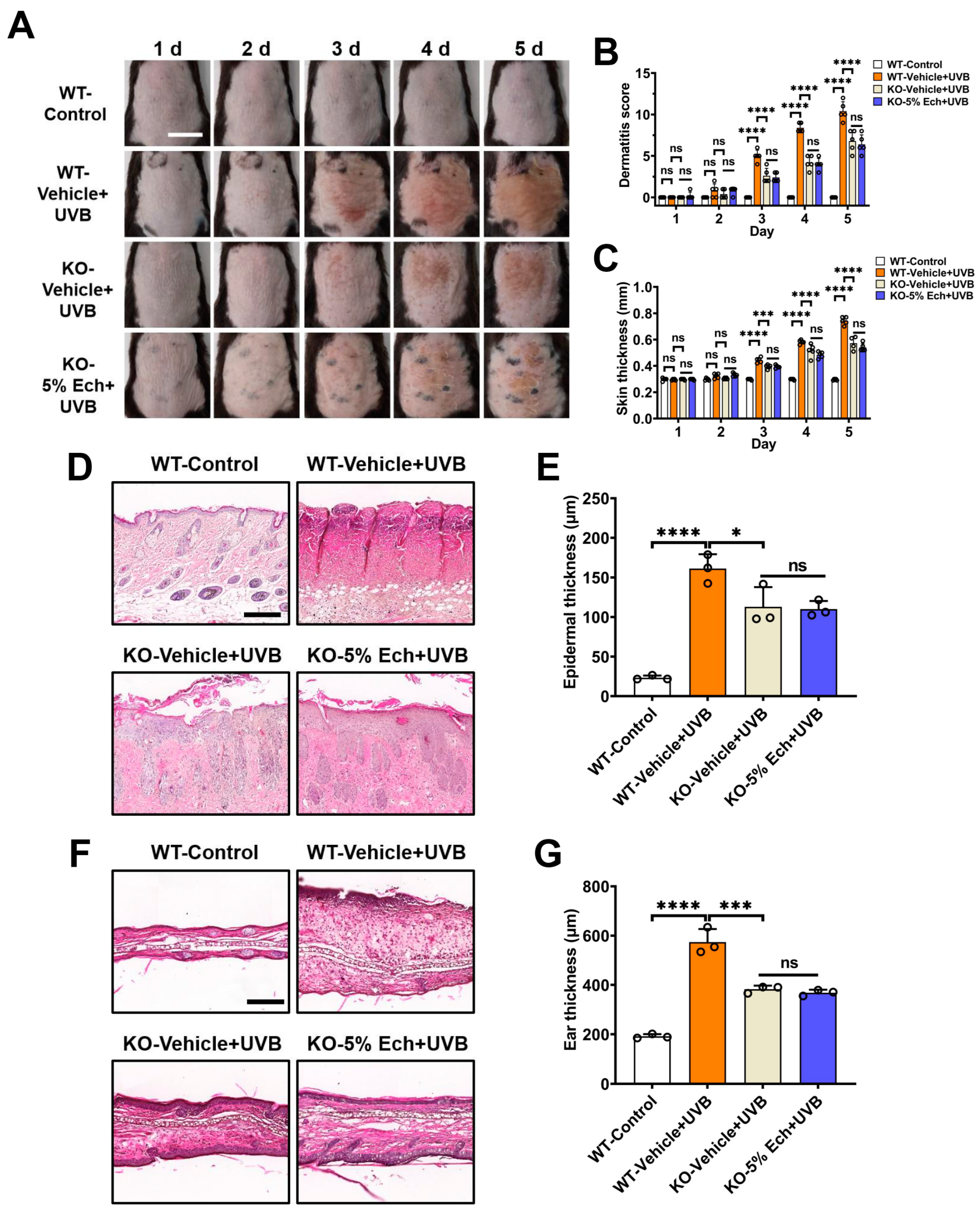 Molecules 30 02026 g002