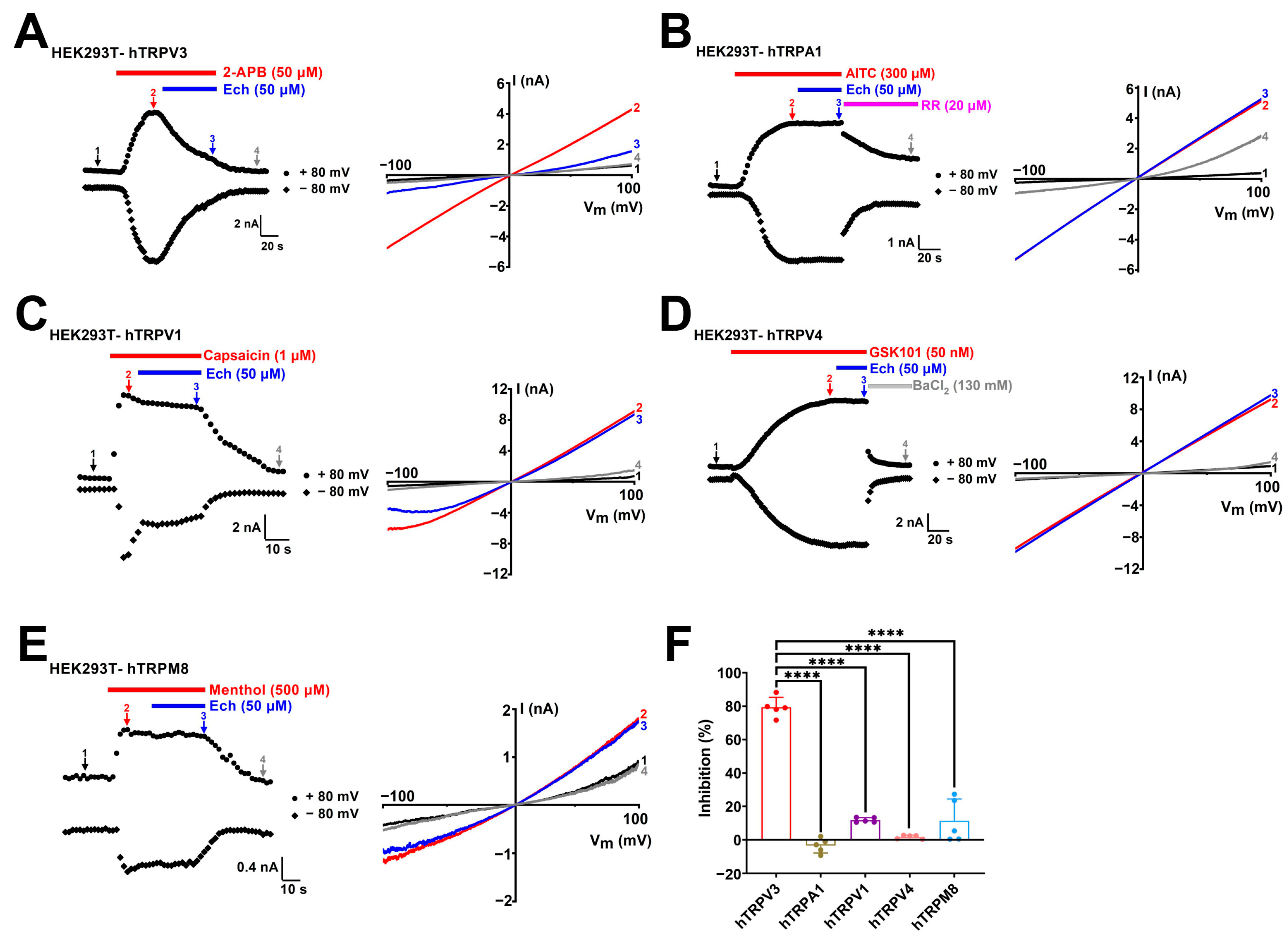 Molecules 30 02026 g004