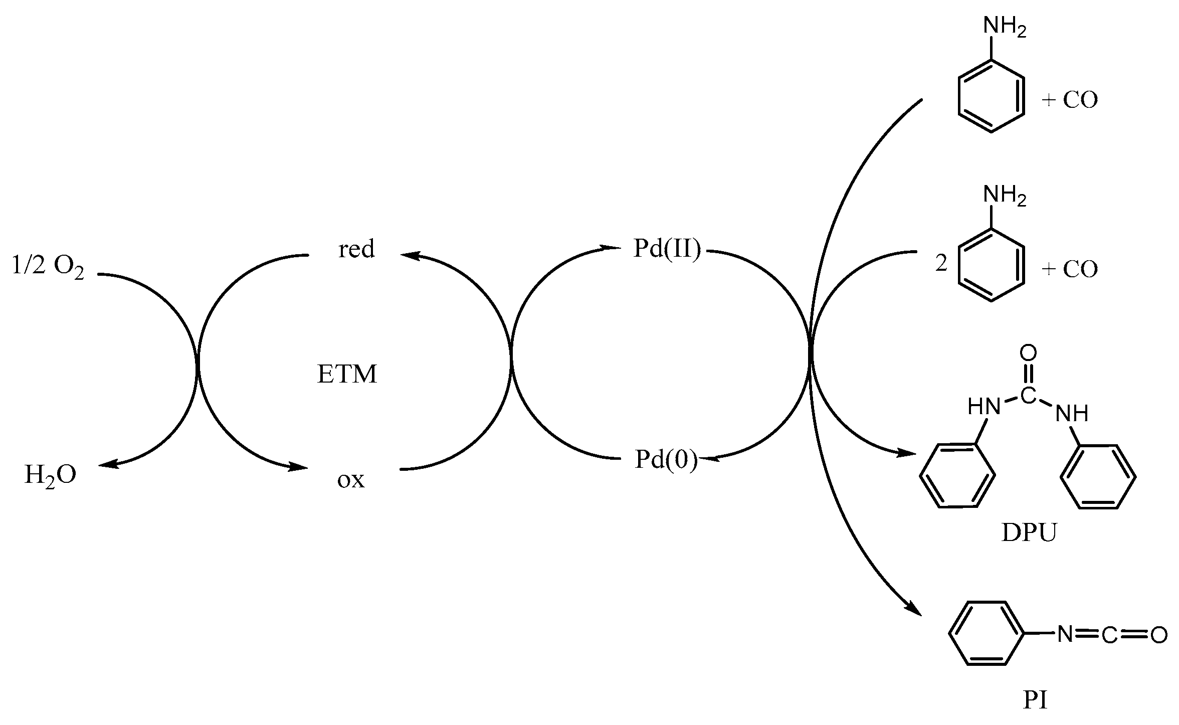 Molecules 30 02027 sch001