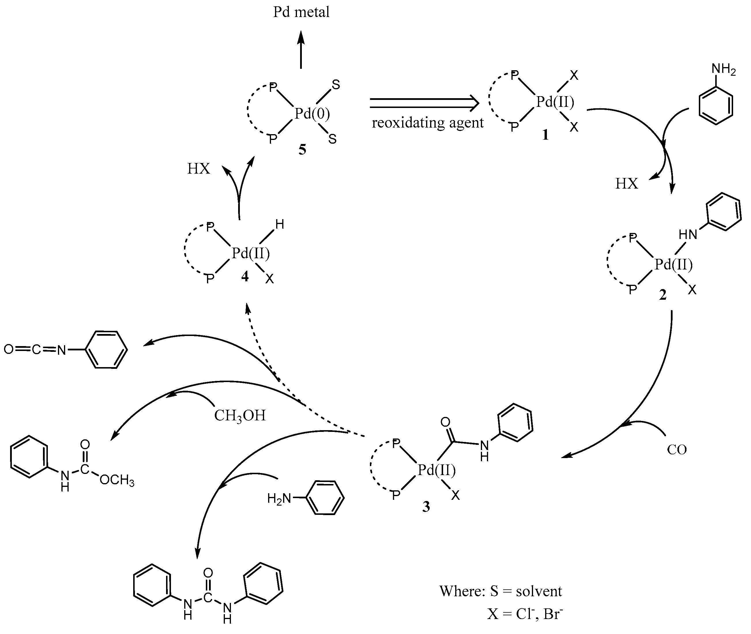 Molecules 30 02027 sch002