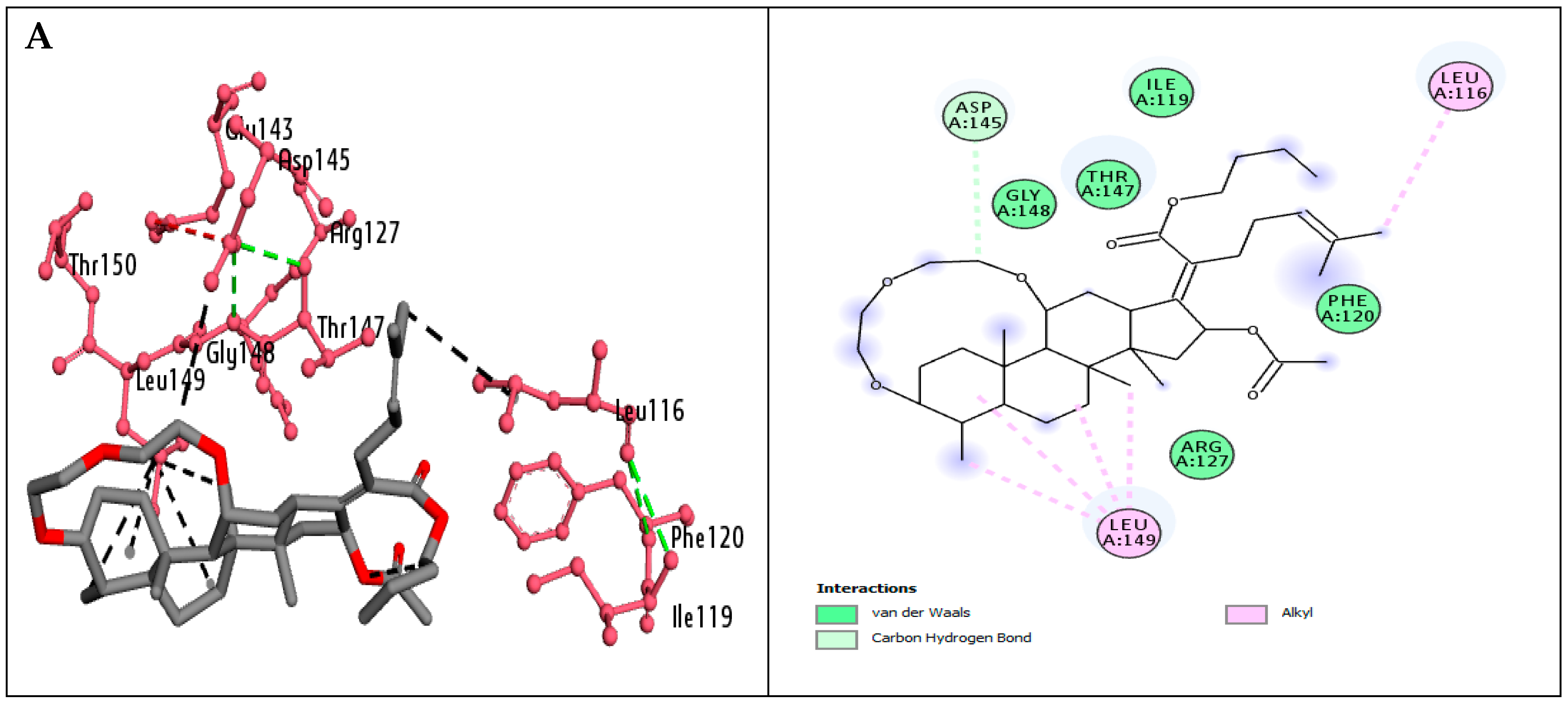 Molecules 30 02033 g004a