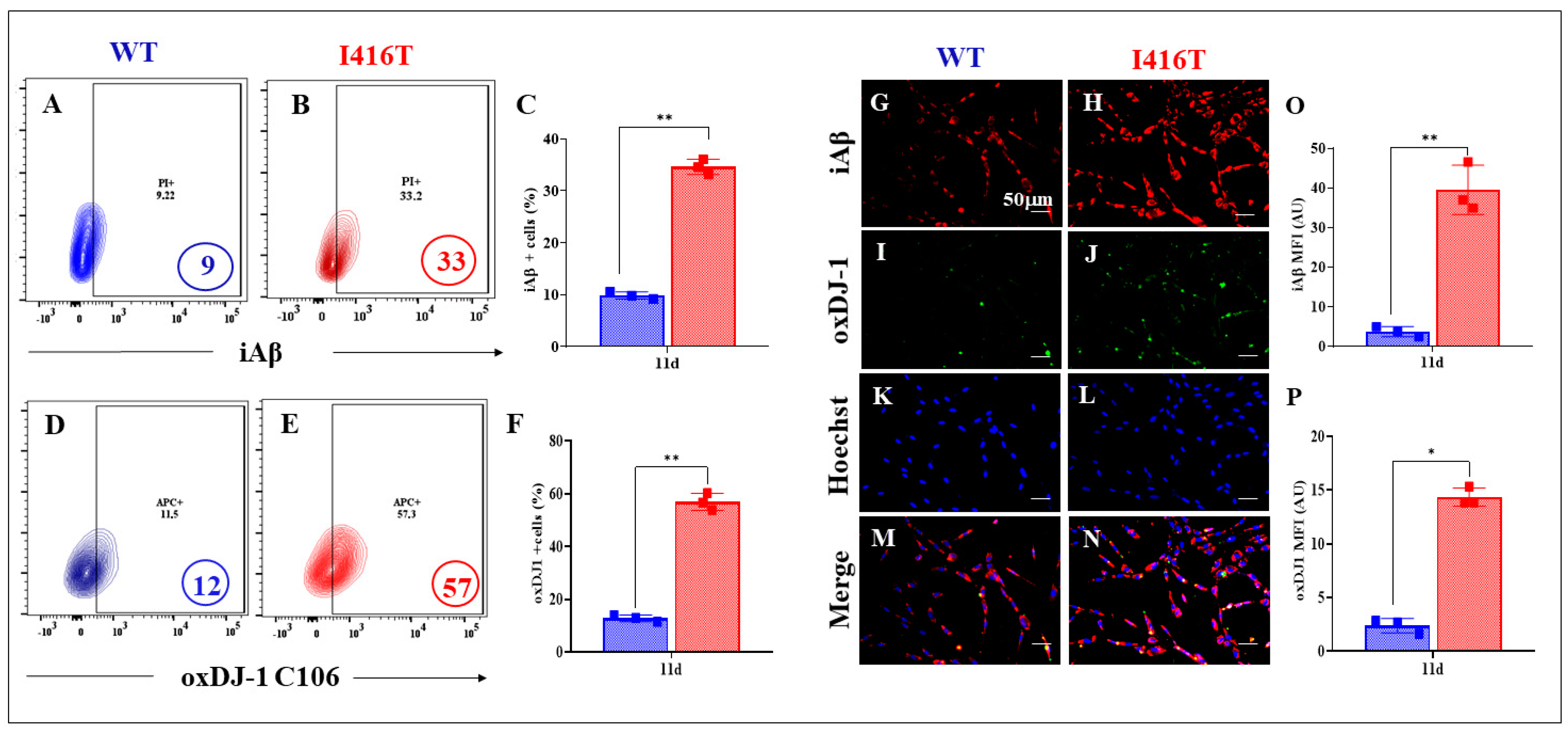 Molecules 30 02034 g002 Molecules 30 02034 g002